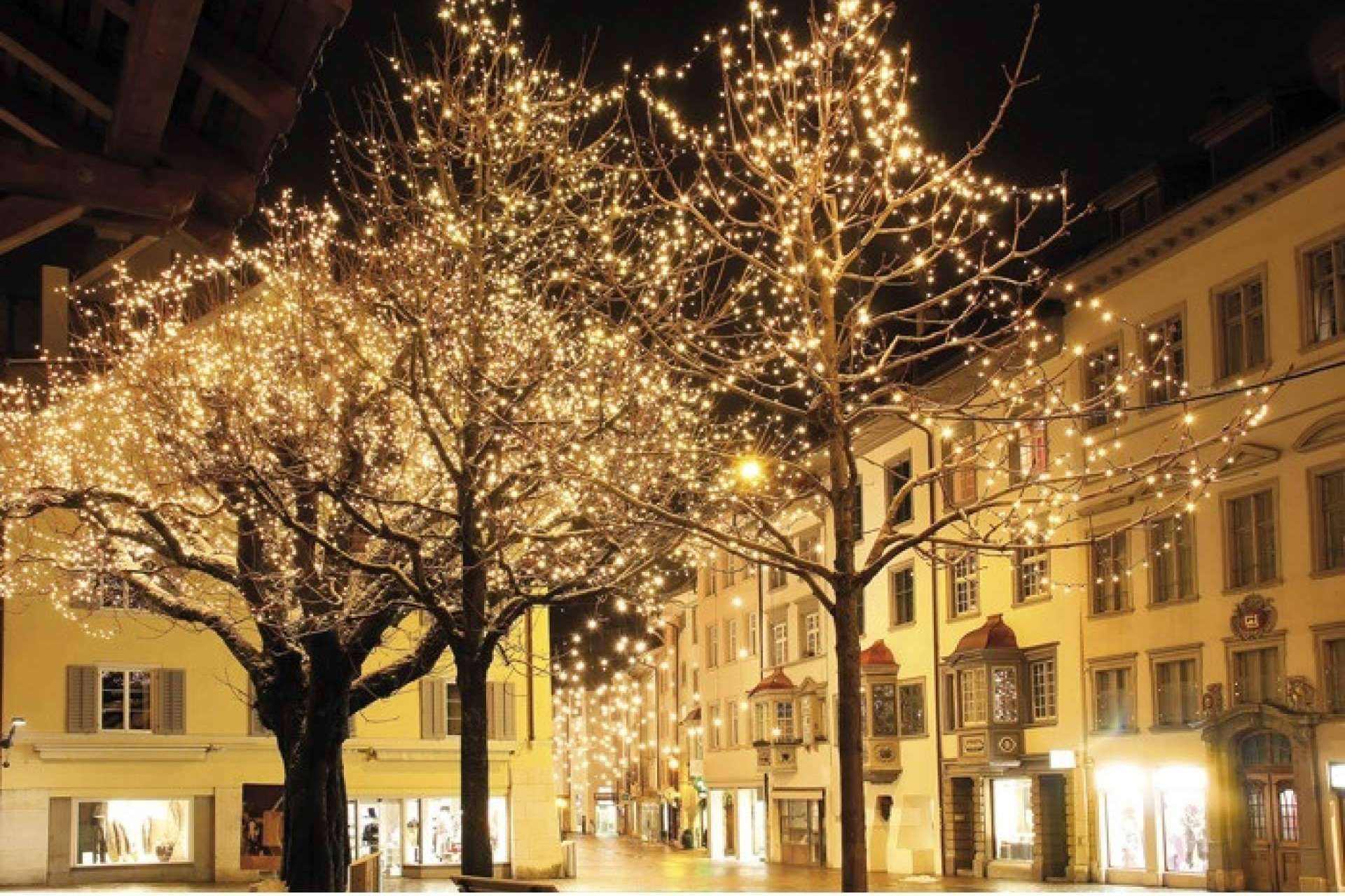 La importancia de la iluminación decorativa durante la Navidad y los productos que ofrece Protect Soiart Distribución