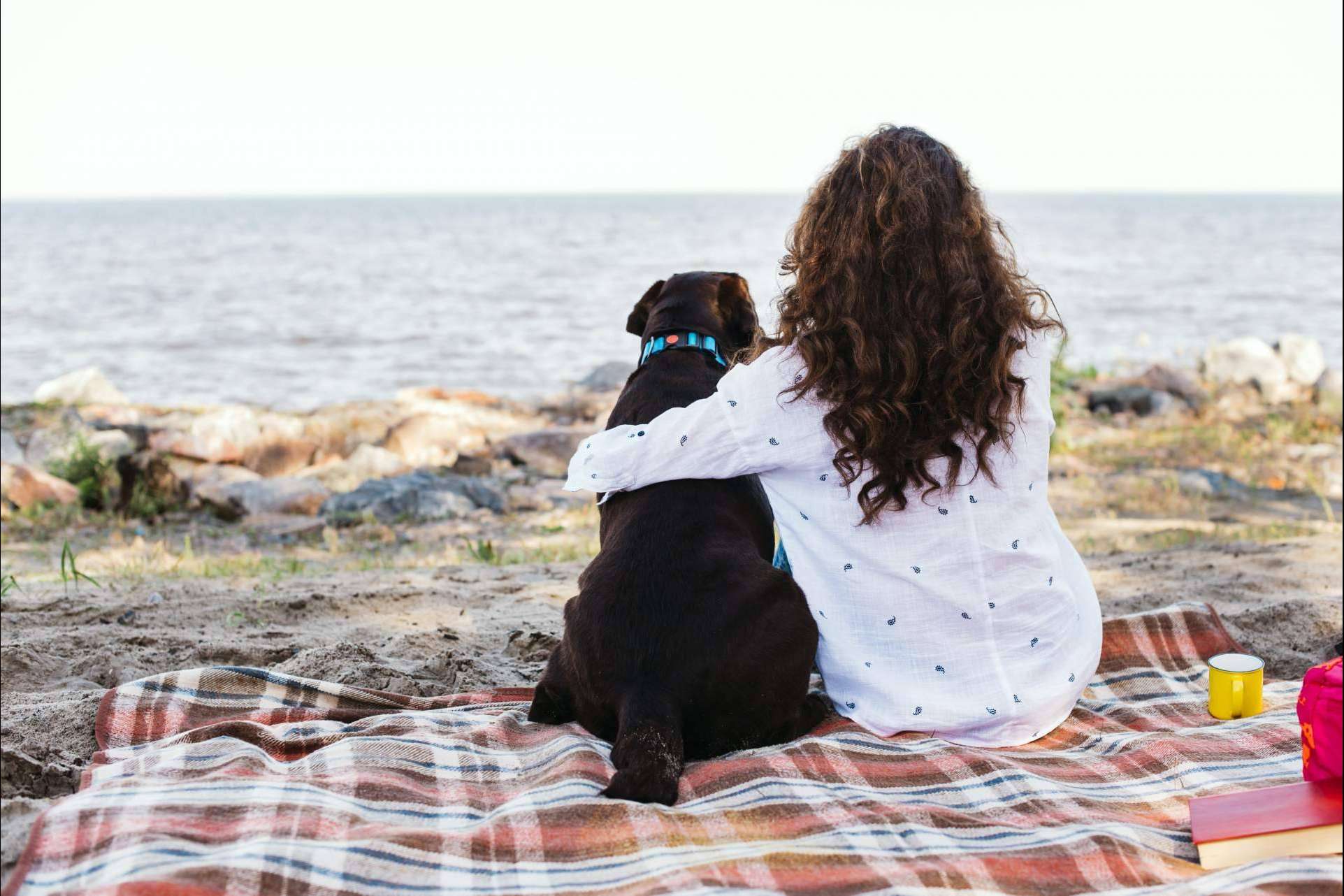De Tapas con Mi Perro, la start-up que busca la inclusión de las mascotas y sus familias en diferentes locales y actividades de ocio