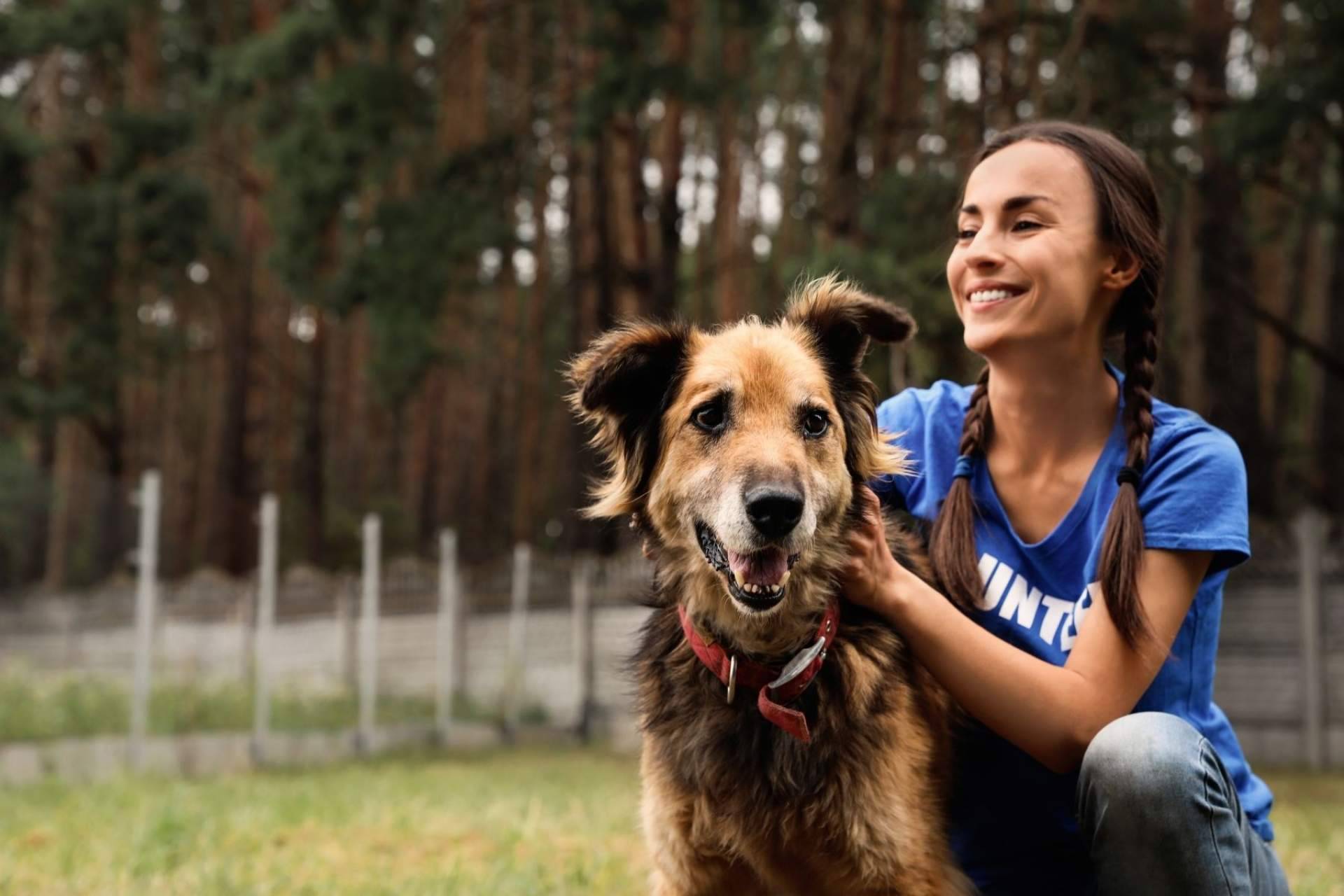 Adopta Un Animal, el buscador de animales en adopción
