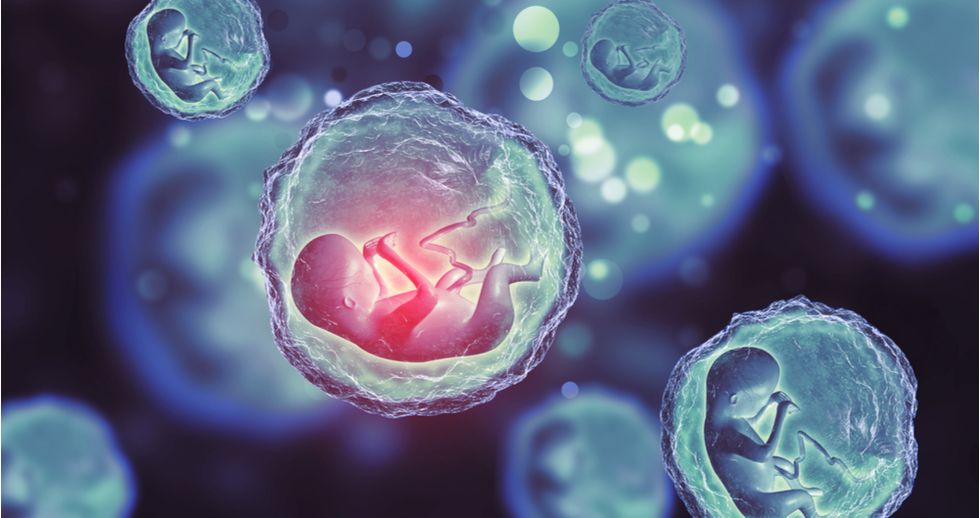 El diagnóstico genético preimplantacional puede descartar embriones normales