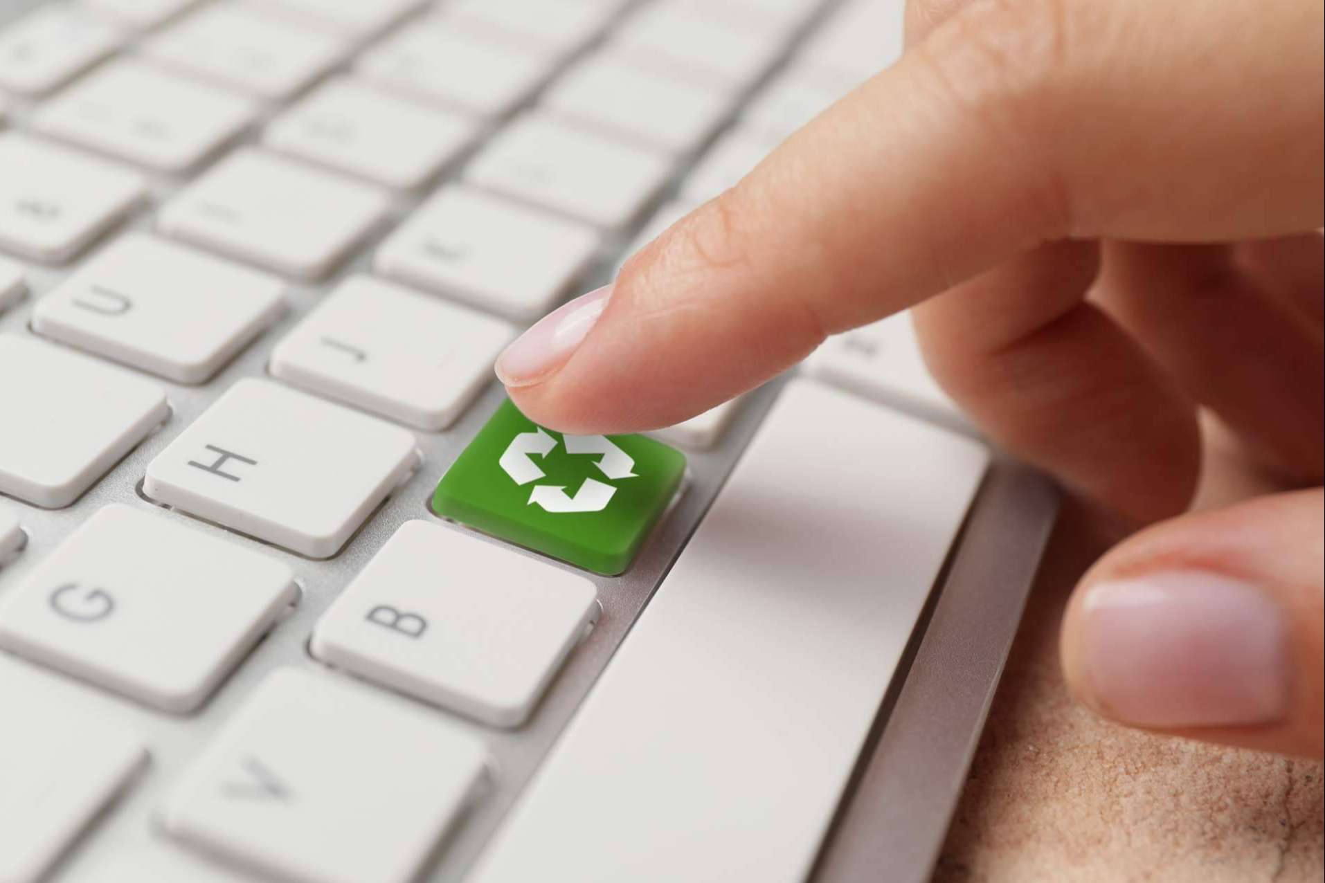 Clover, la agencia de marketing online para startups con mirada sostenible