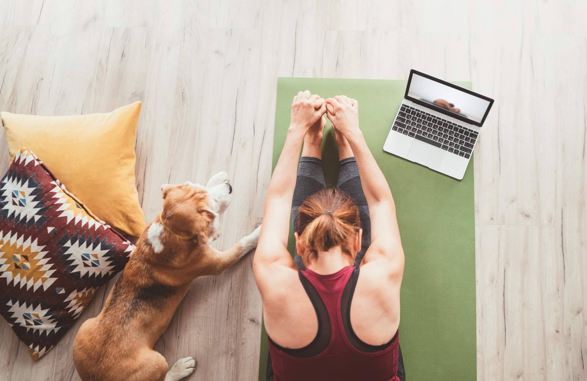 ¿Cómo es el curso online de profesor de yoga que ofrece el Centro de Yoga Kavaalya?