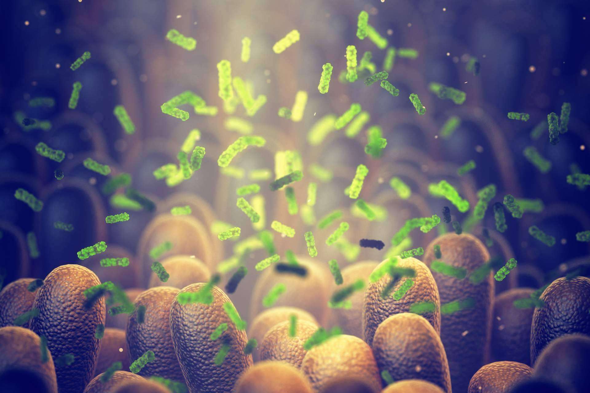 Tratamiento de microbiota con probióticos y prebióticos