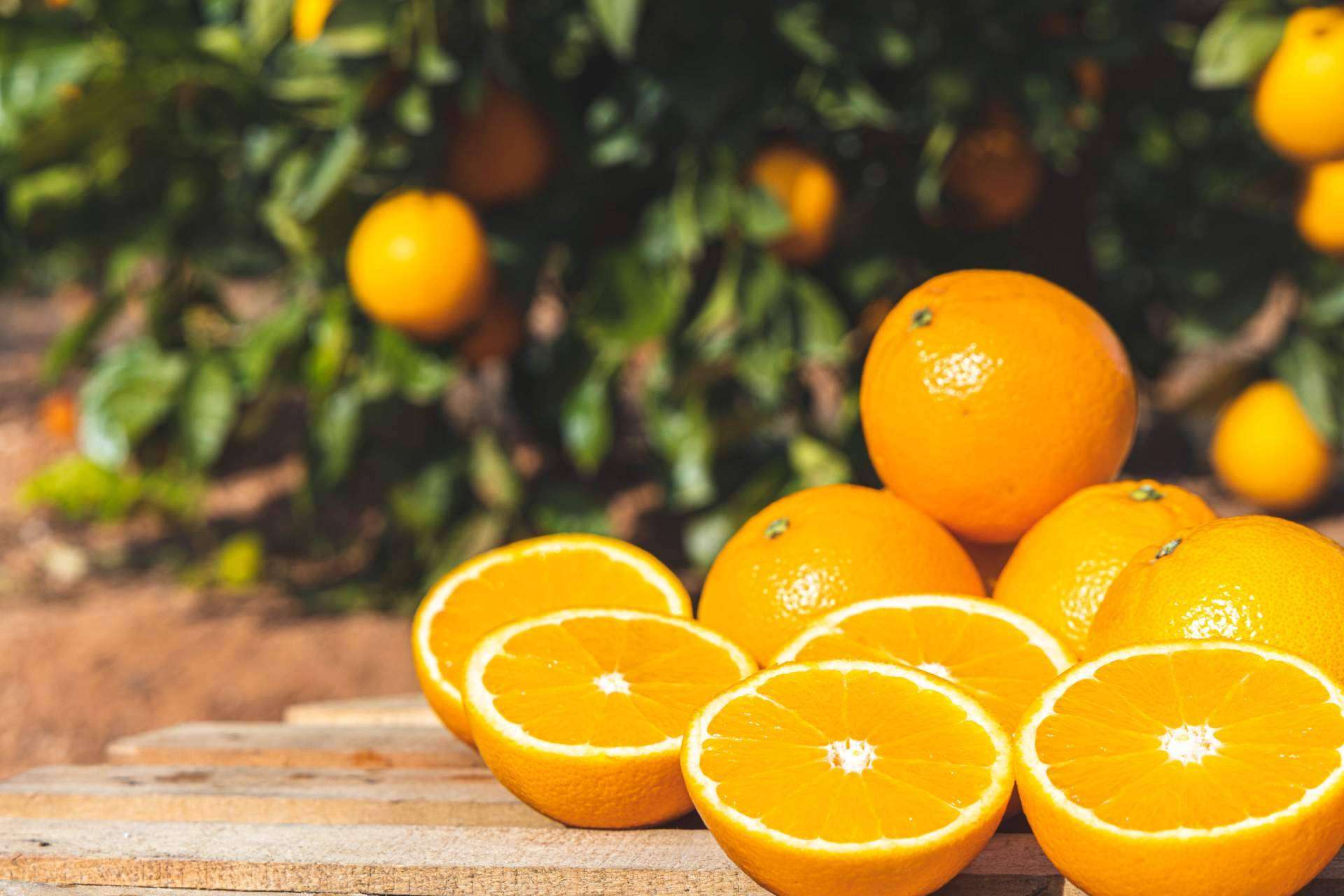Naranjas Quique permite comprar naranjas online