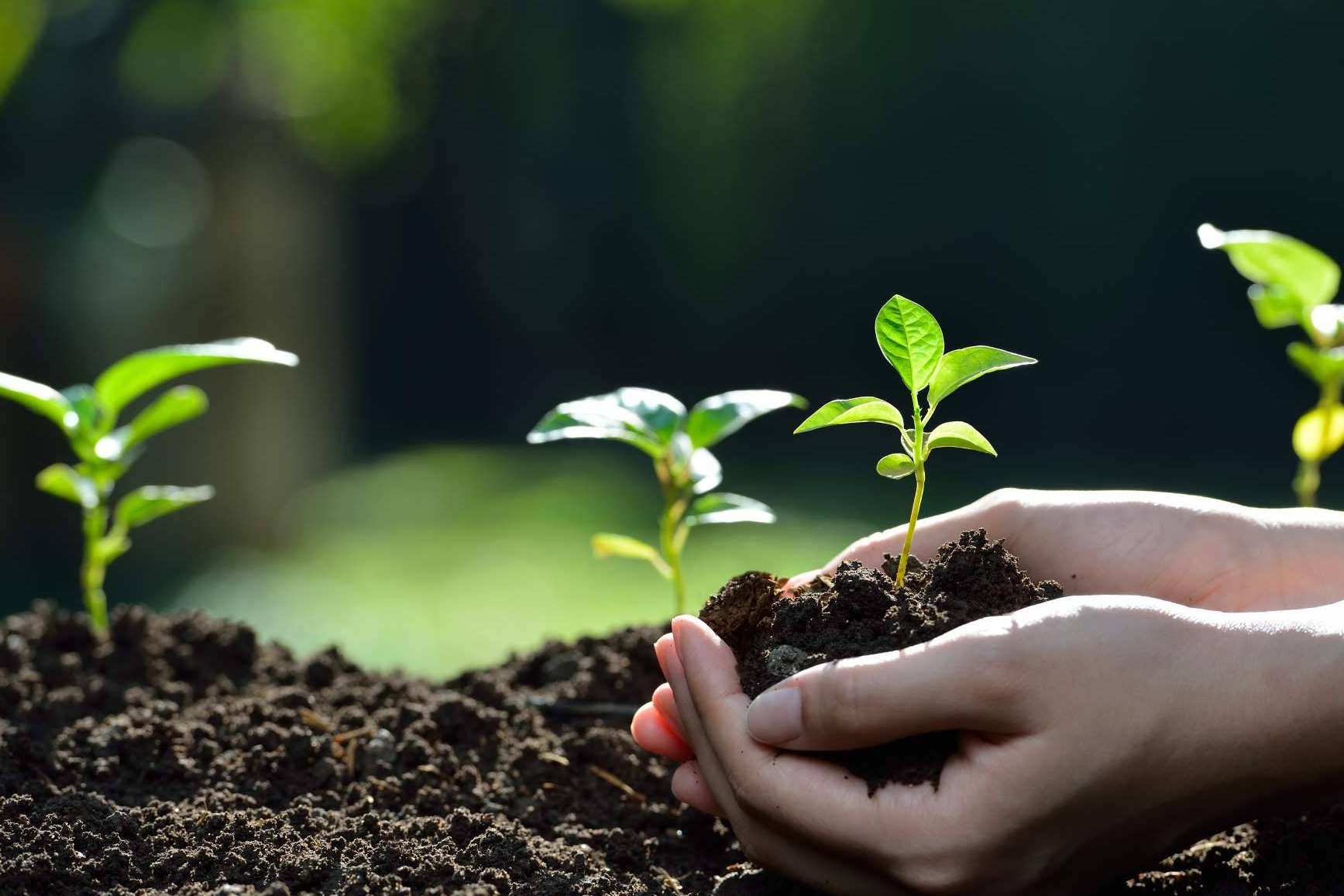 Uno de los primeros sistemas mineros sostenibles y ecológicos, GreenAir