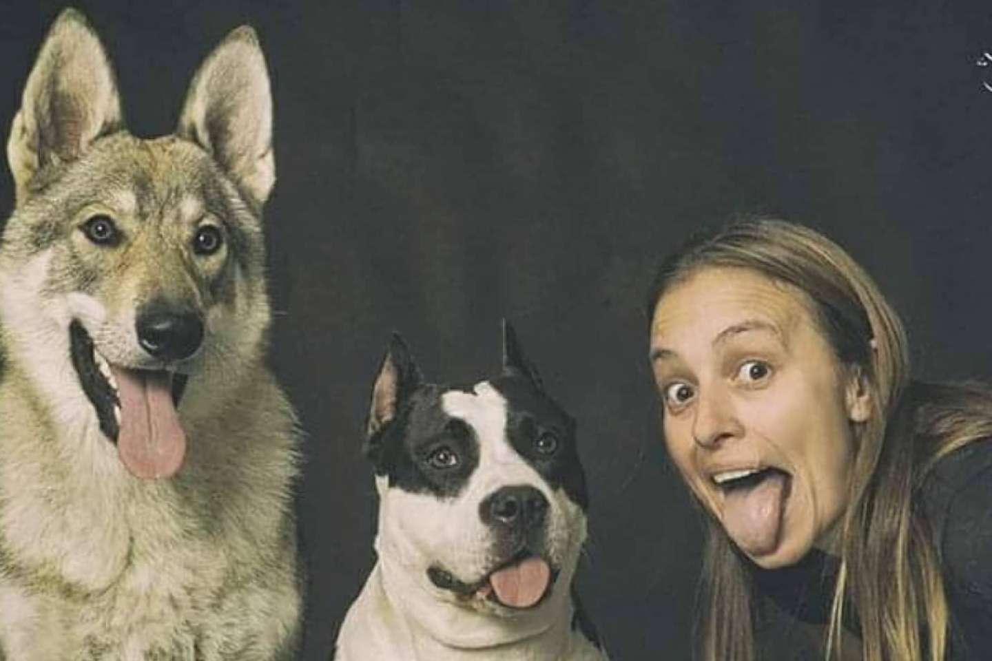Una guardería de día para perros, por PERROBUENO