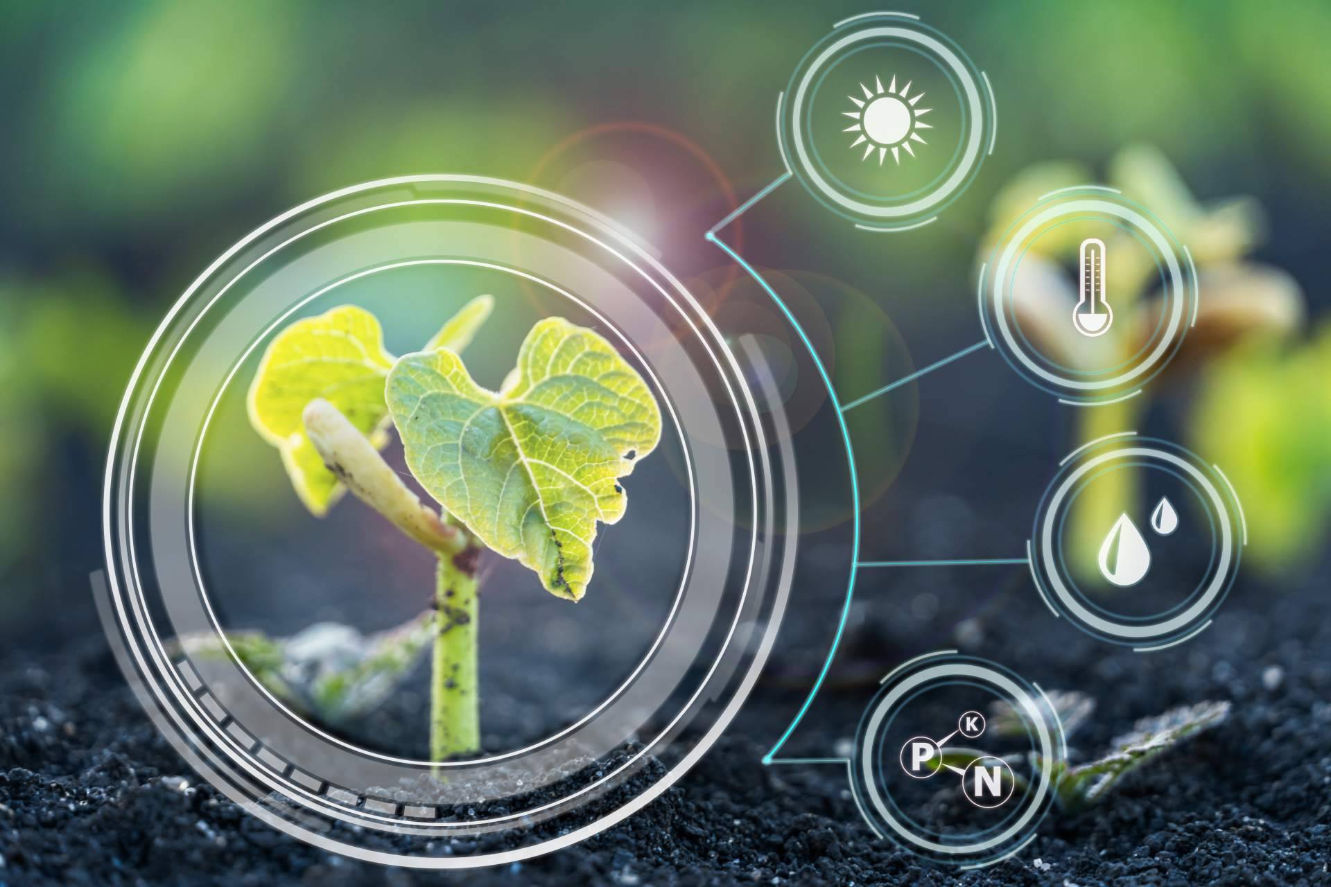Agricultura inteligente gracias a la internet de las cosas