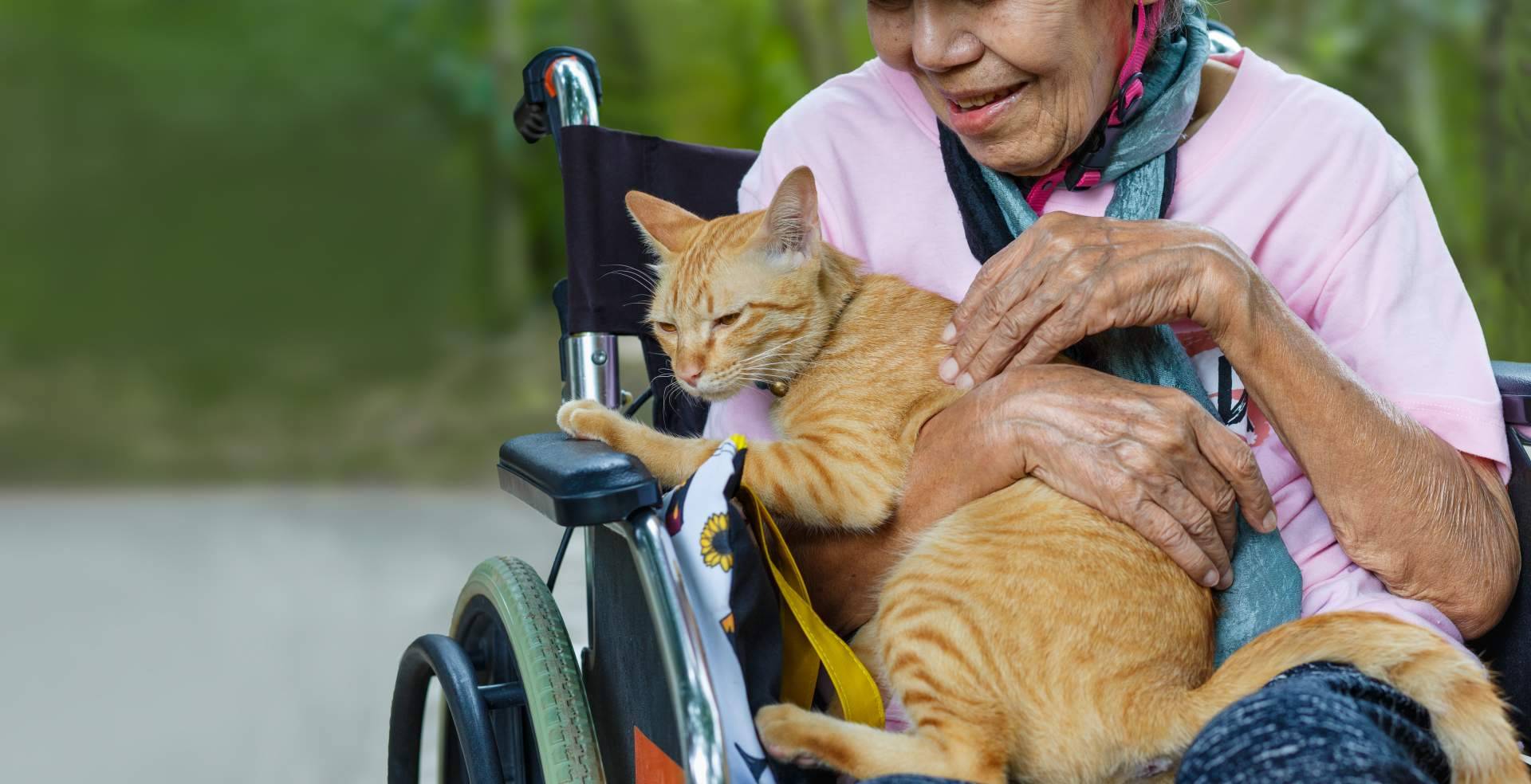La doctora Paula Calvo afirma la importancia del vínculo humano-animal