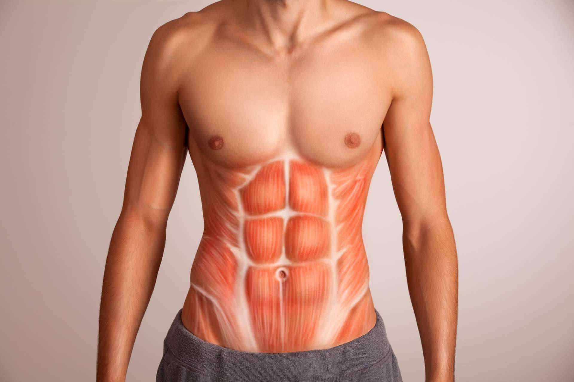 ¿Por qué debería haber un atlas de anatomía en todas las casas?