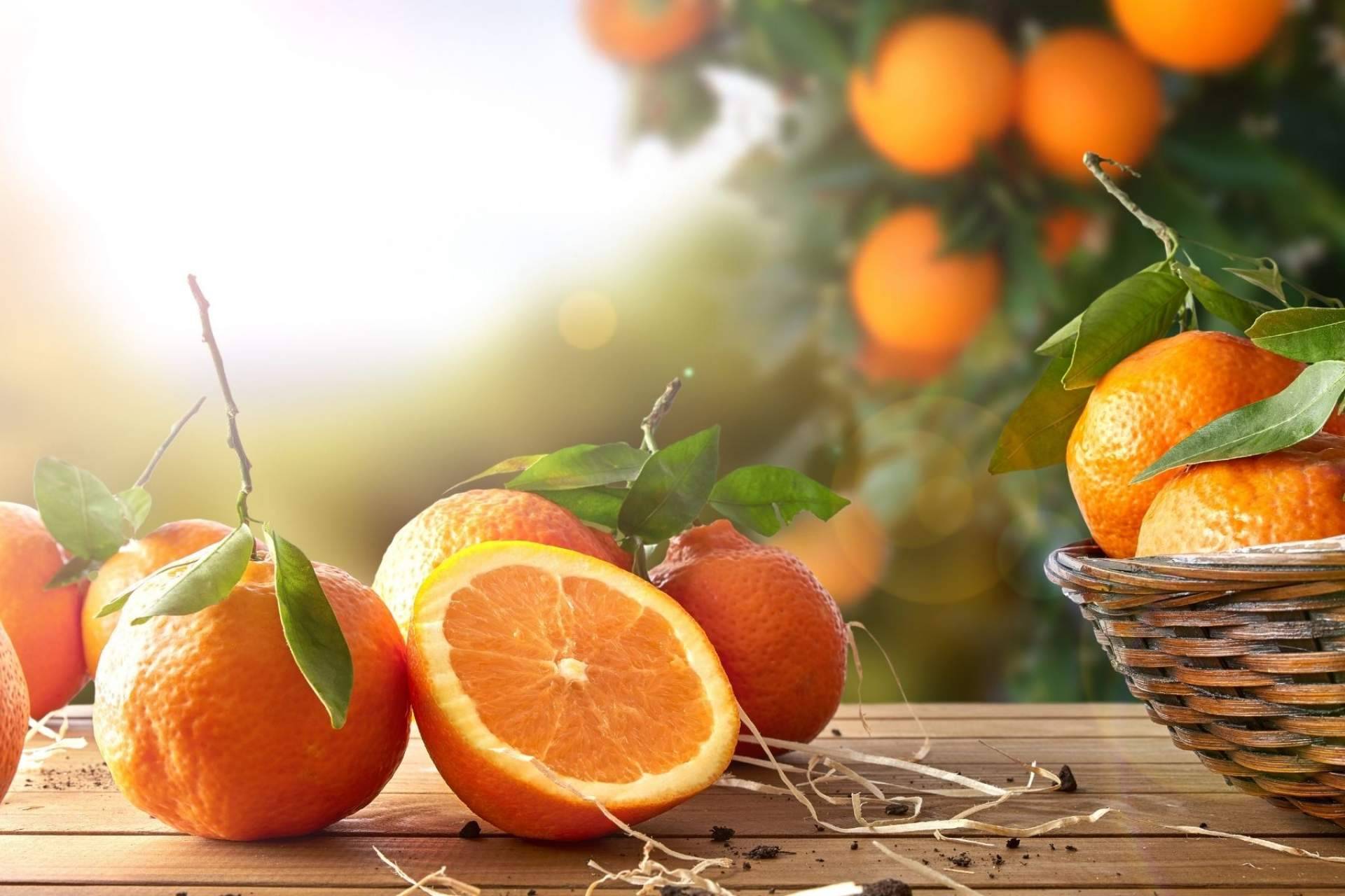 Los beneficios de la naranja para la salud, por Sabor a Naranjas