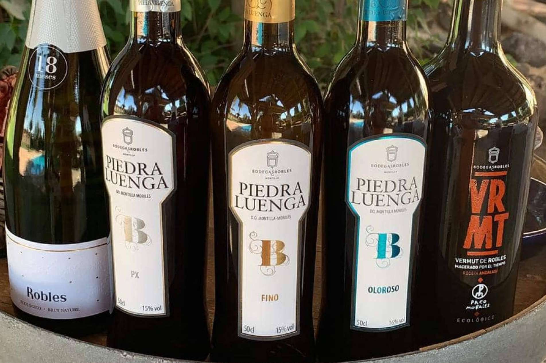 El origen del vino ecológico de Bodegas Robles