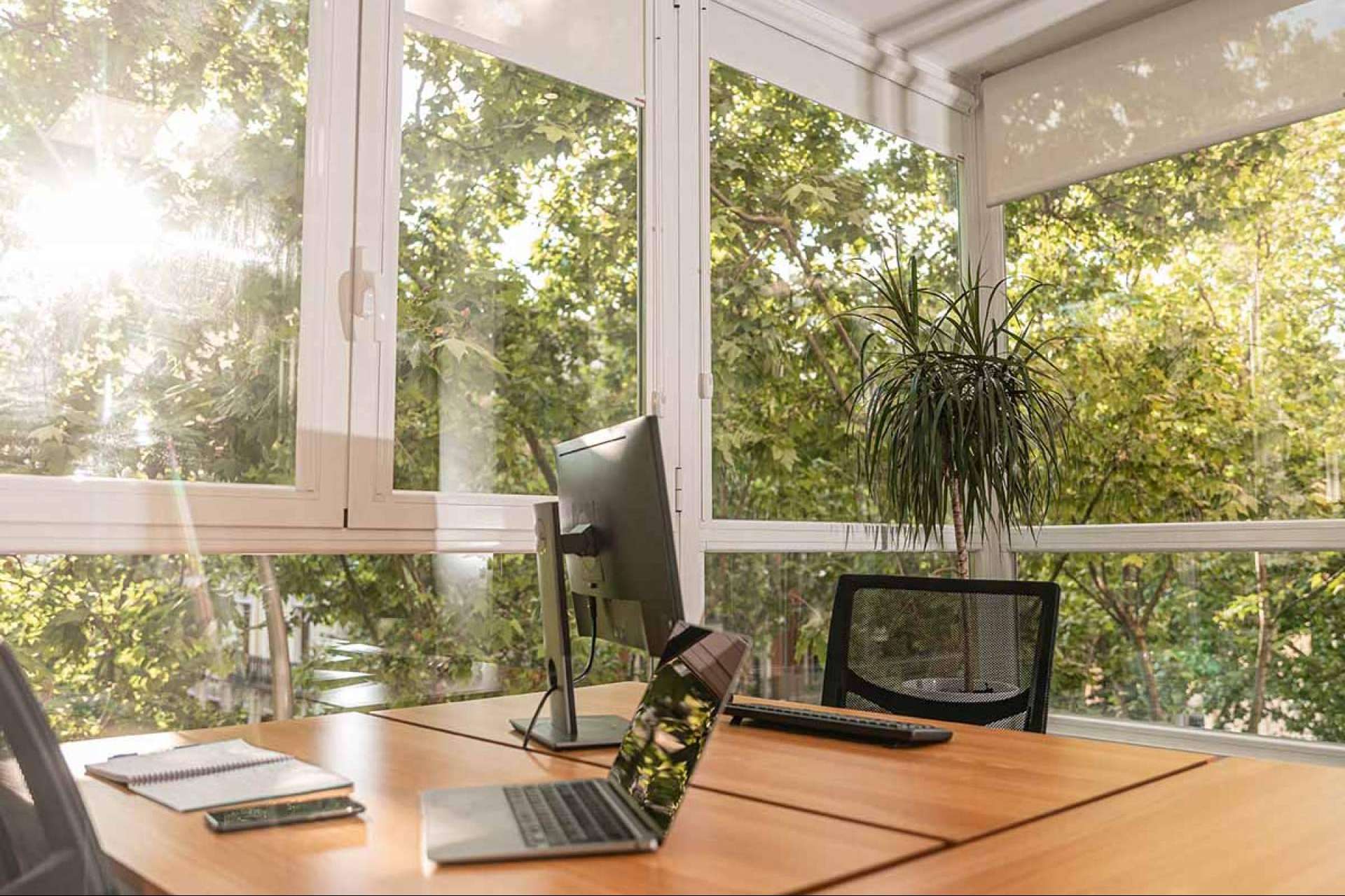 Tener una oficina virtual gracias a OXYGEN coworking