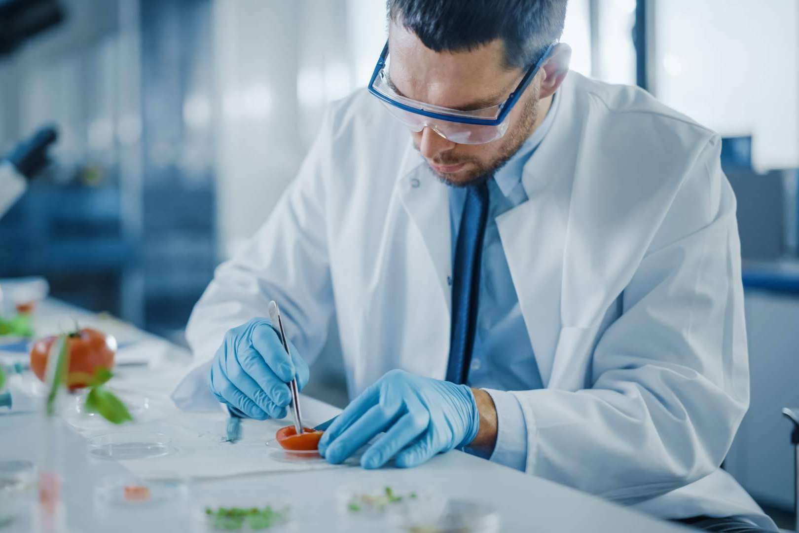 Seguridad alimentaria con Sigesmar, manipulación de alimentos y asesoría técnica para empresas