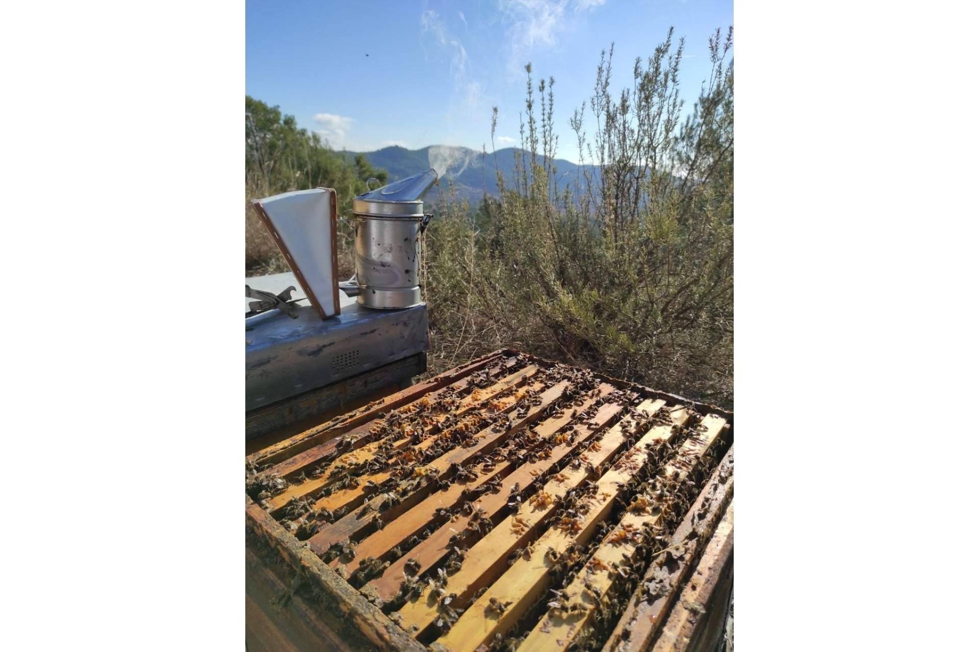 Miel y Sabor lleva más de 140 años respetando las abejas para crear mieles artesanales