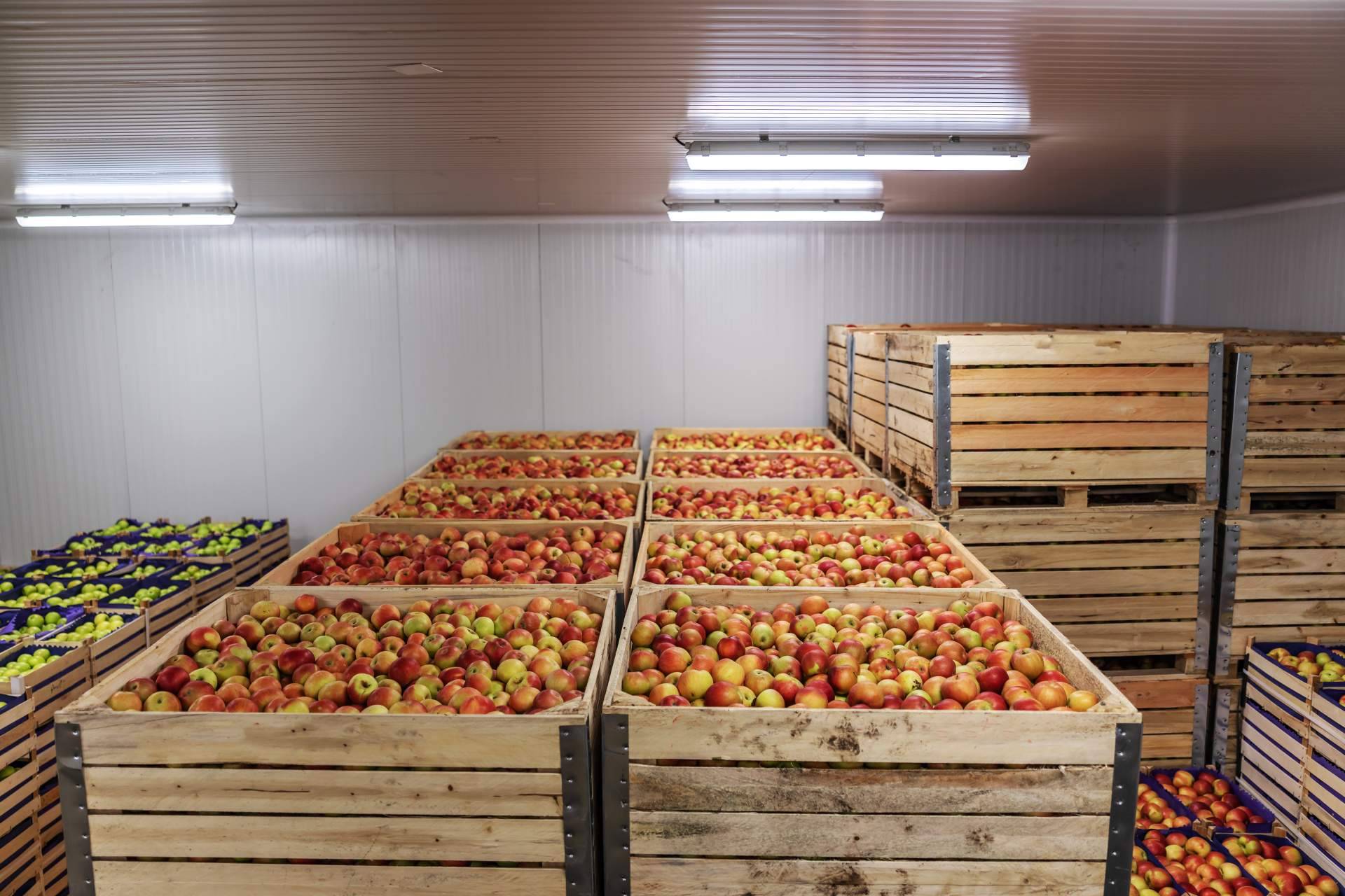 AACORE SUPPLY y su configurador online de cámaras frigoríficas