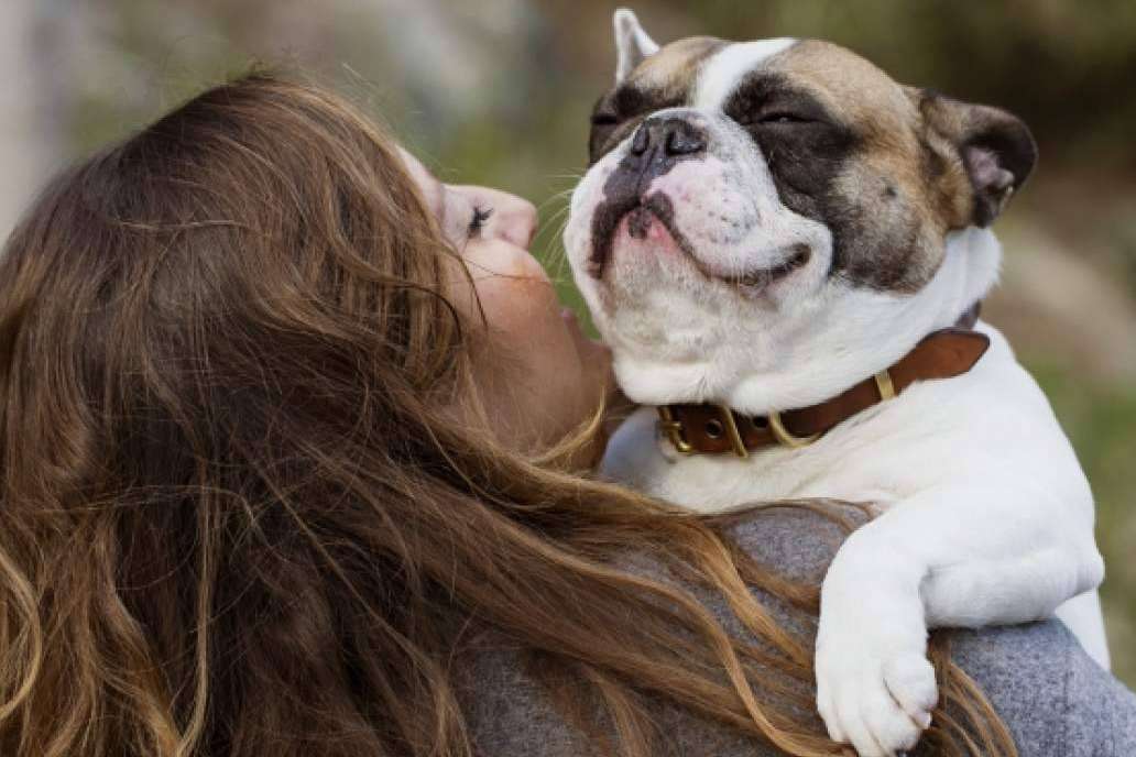 Alimentación saludable para perros y gatos de la mano de CRU
