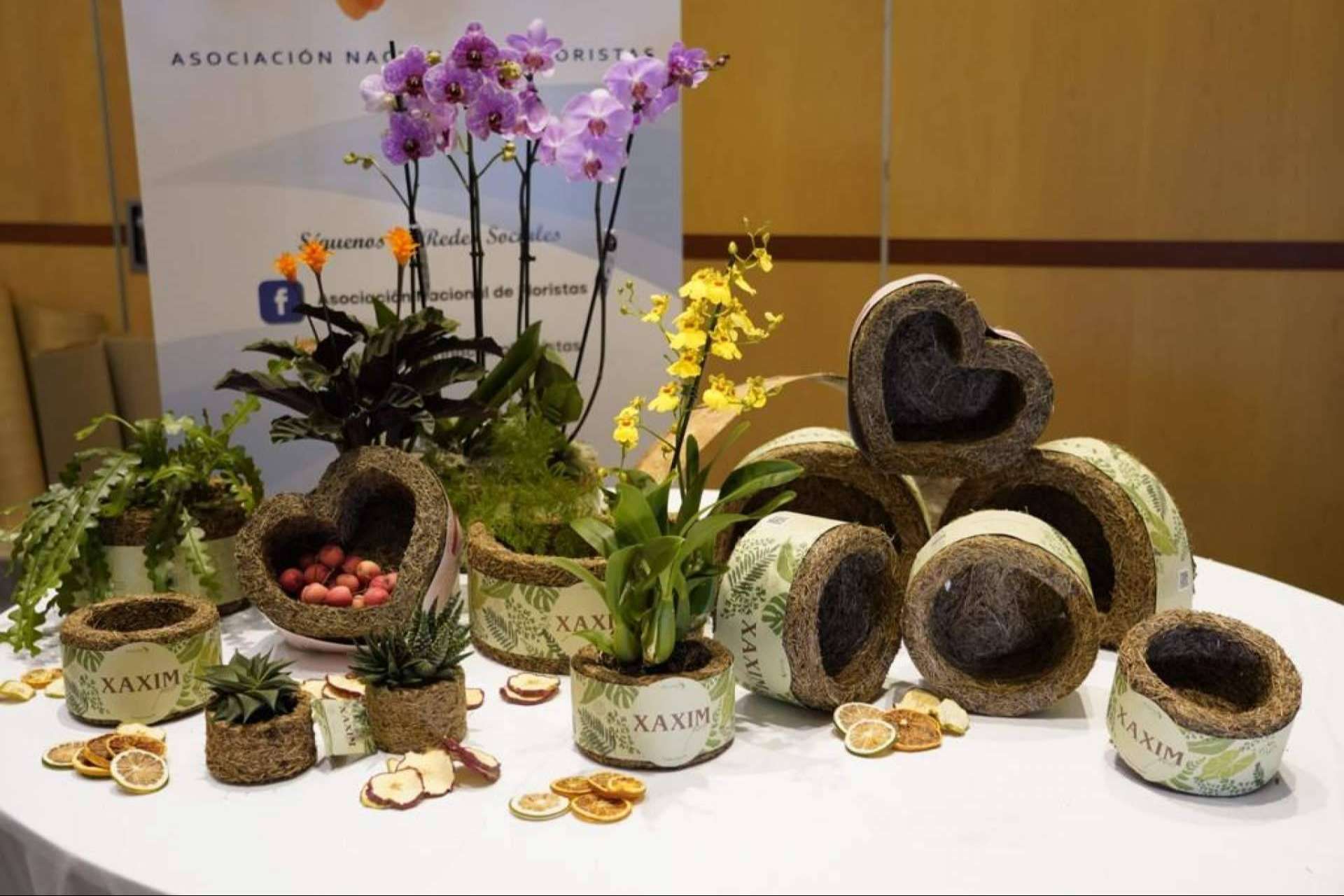 Un regalo original y ecológico para el día de los enamorados, sorprender a la pareja y cuidar el planeta con Biosolvit Spain
