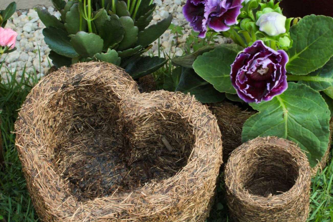 Contribuir a un mundo verde a través del emprendimiento de Biosolvit Spain, Xaxim Pots