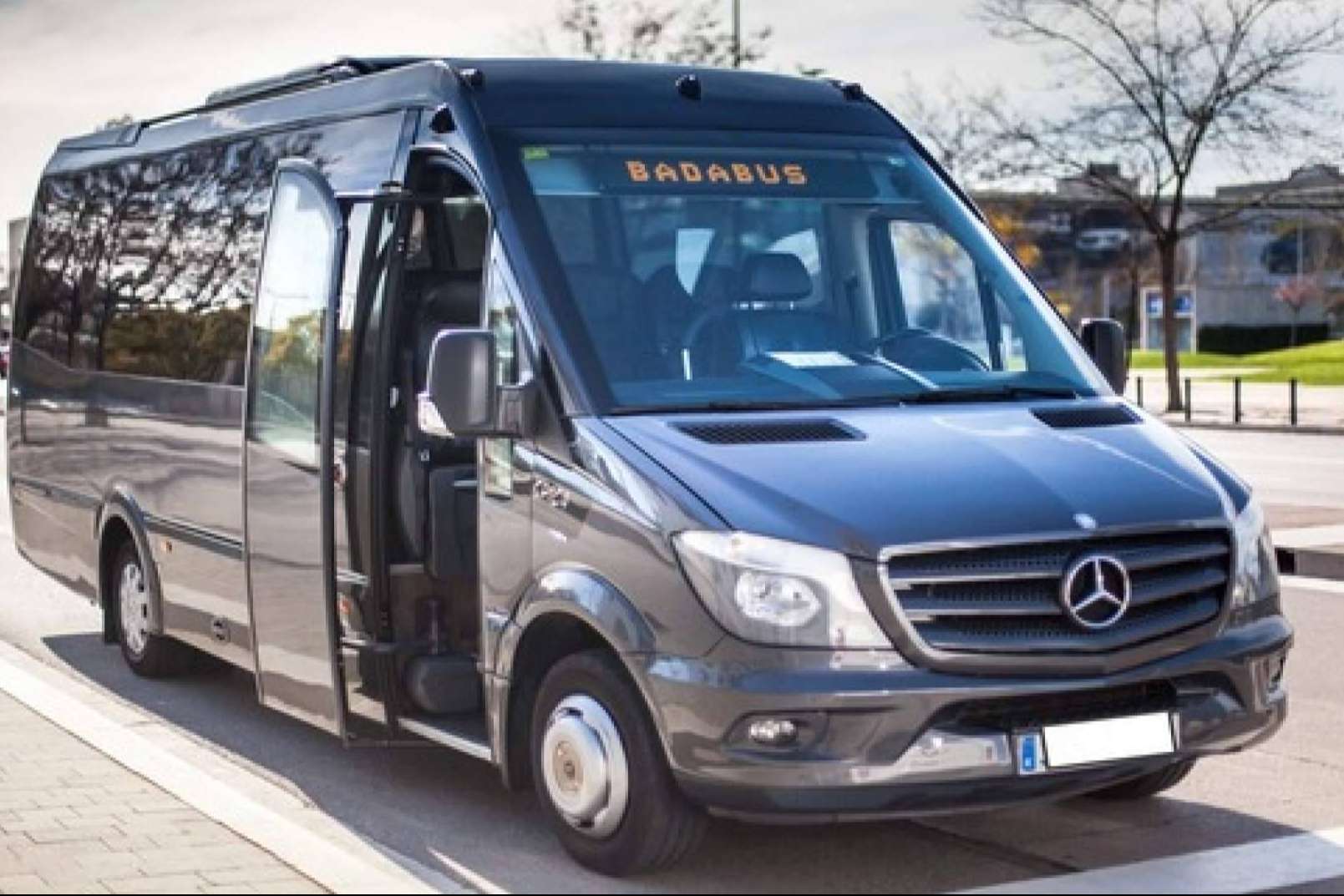 Las actividades se pueden realizar con un minibus vip, según Badabus