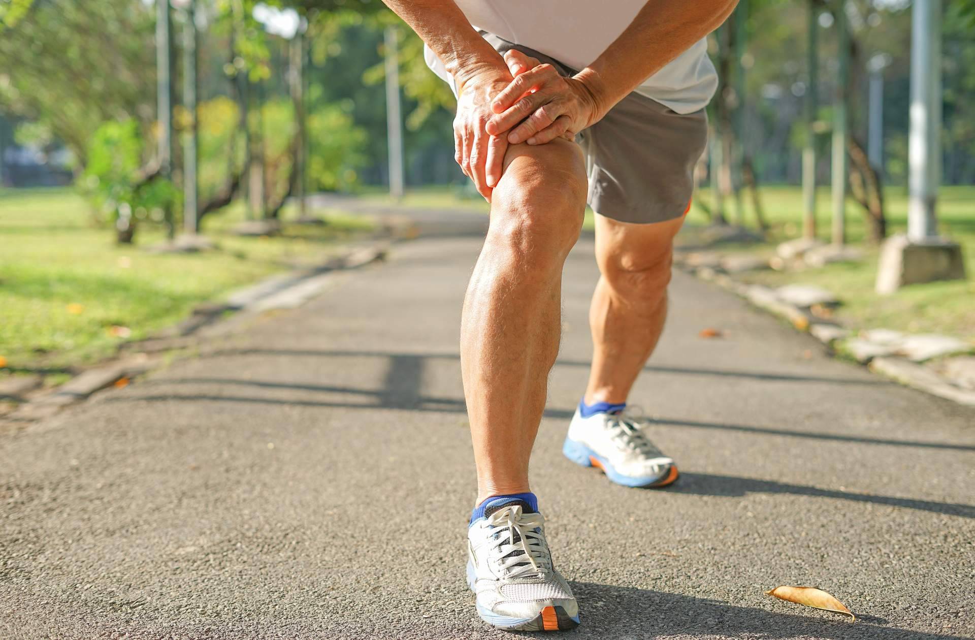 El cuerpo humano, los múltiples beneficios de la vitamina D