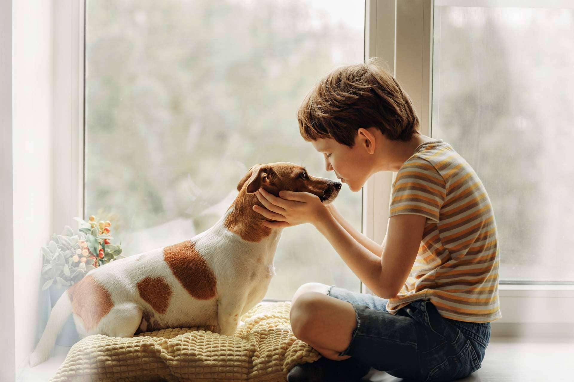 Animales de compañía y el desarrollo infantil, cómo convivir con un animal de compañía adecuadamente ayuda a los niños y niñas