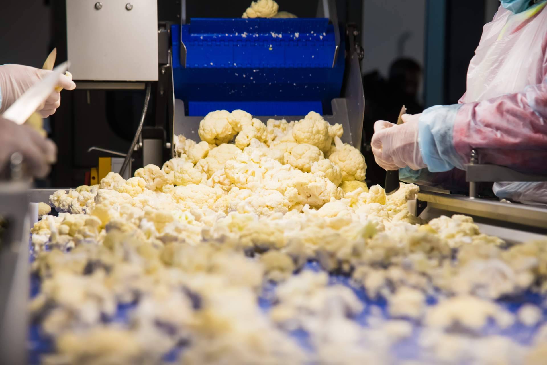 Overtel acerca de la importancia del software adecuado a la hora de digitalizar una fábrica