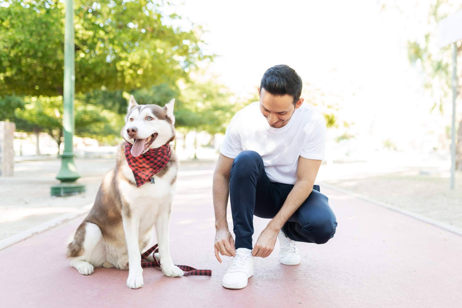 Una oportunidad en la adopción de perros mayores