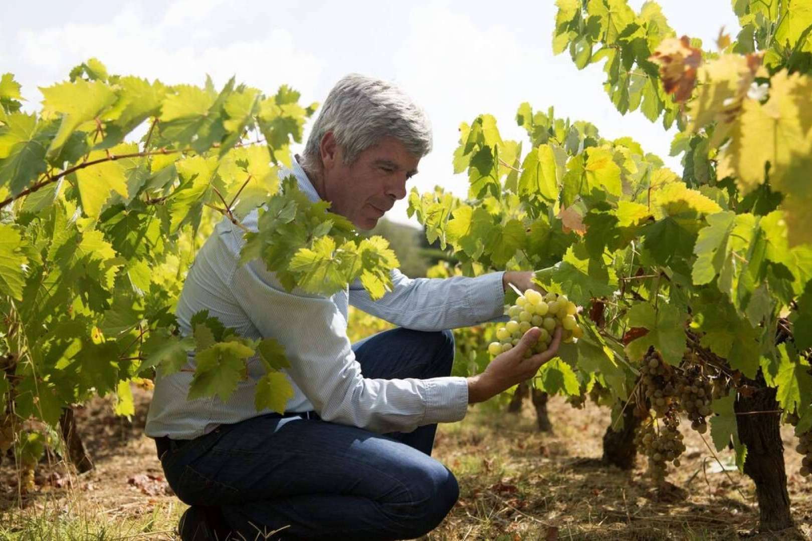 Sabor a Andalucía con el Vino Pedro Ximénez