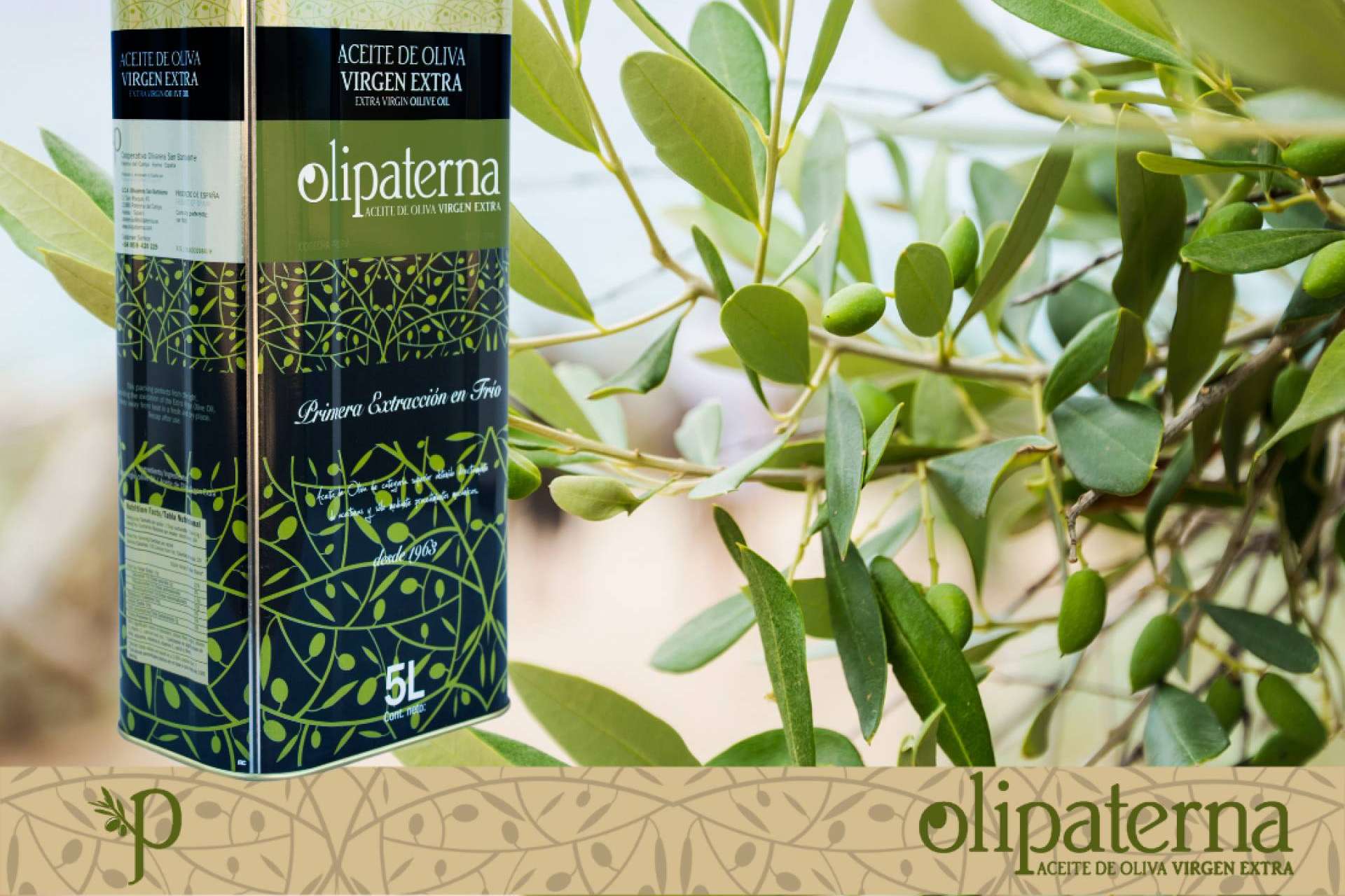 Olipaterna y su aceite de oliva virgen extra