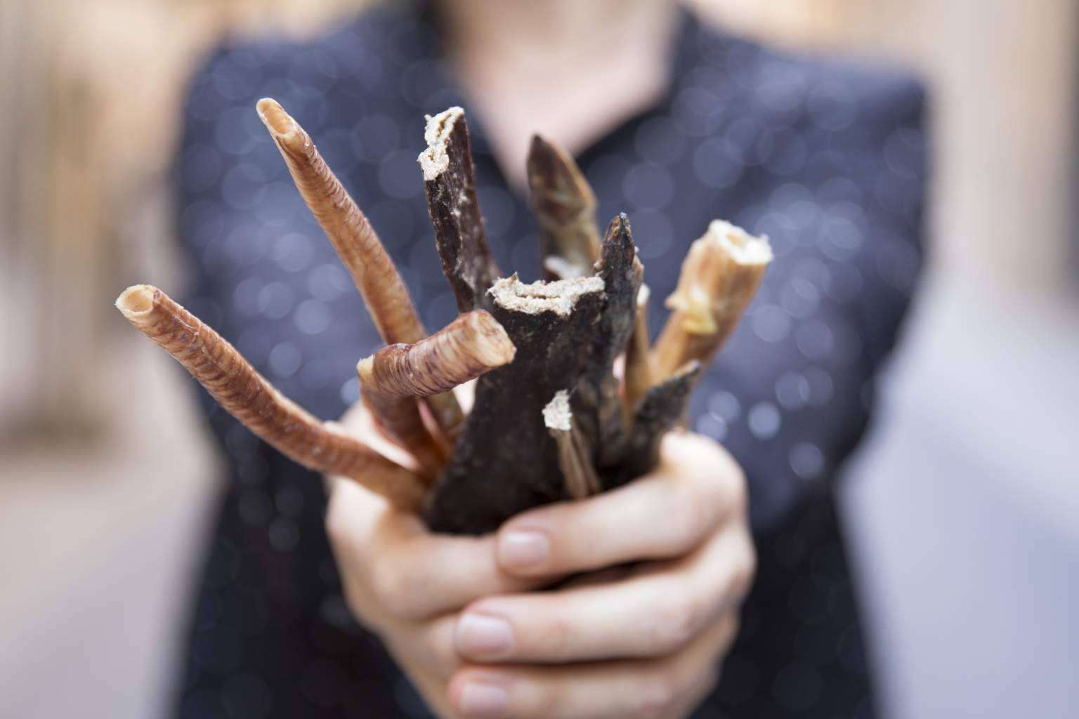 ¿Por qué optar por los snacks saludables para perros?, por CRU