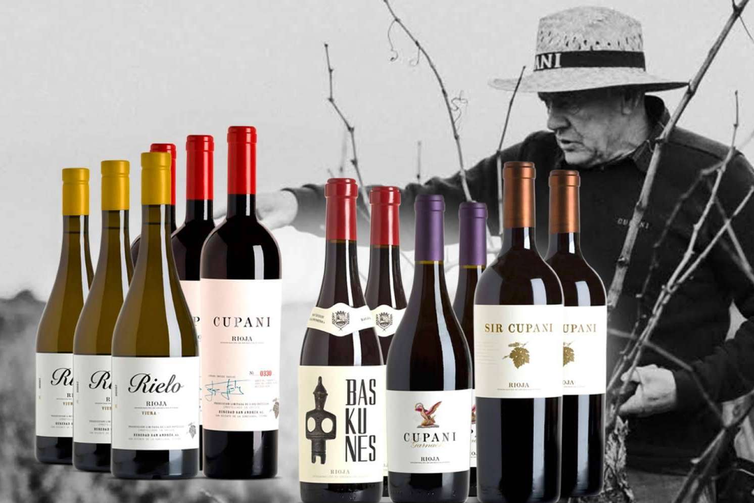 Pack de vinos de Selección Cupani, viticultor del año 2022 por el prestigioso Master of Wine Tim Atkin
