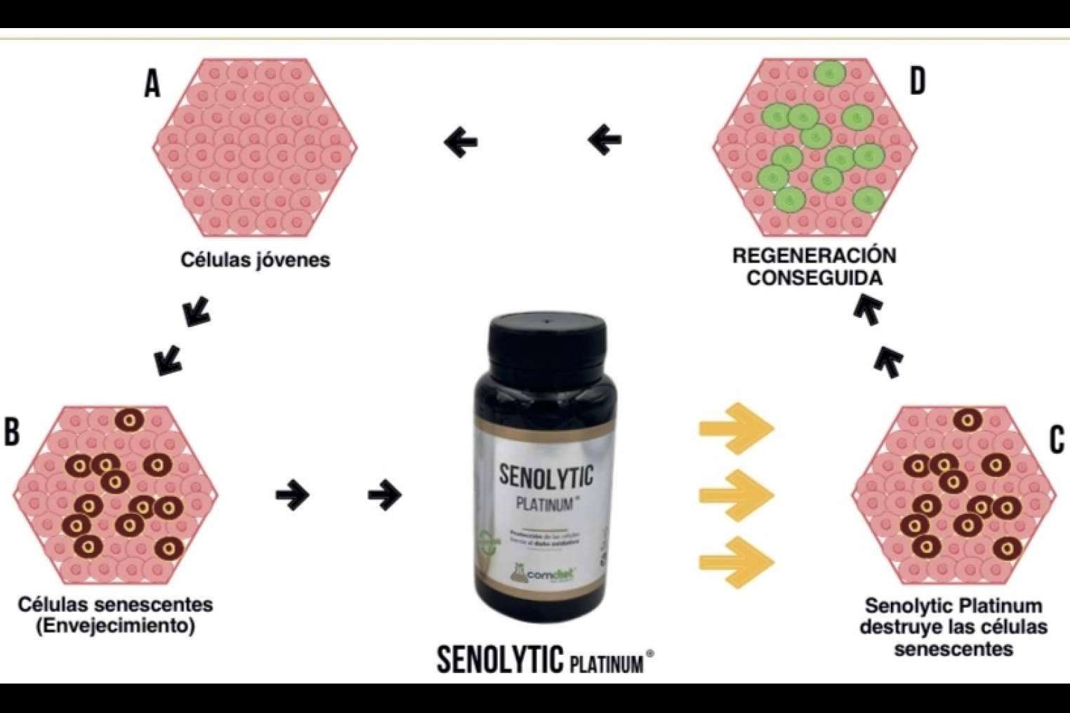 El producto de Comdiet Roig Laboratorios para combatir el daño oxidativo se llama SENOLYTIC PLATINUM