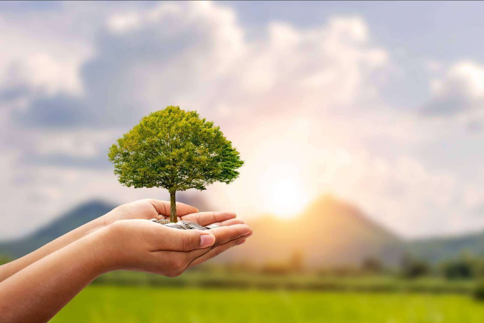La importancia de marcar objetivos de sostenibilidad ambiental en las empresas