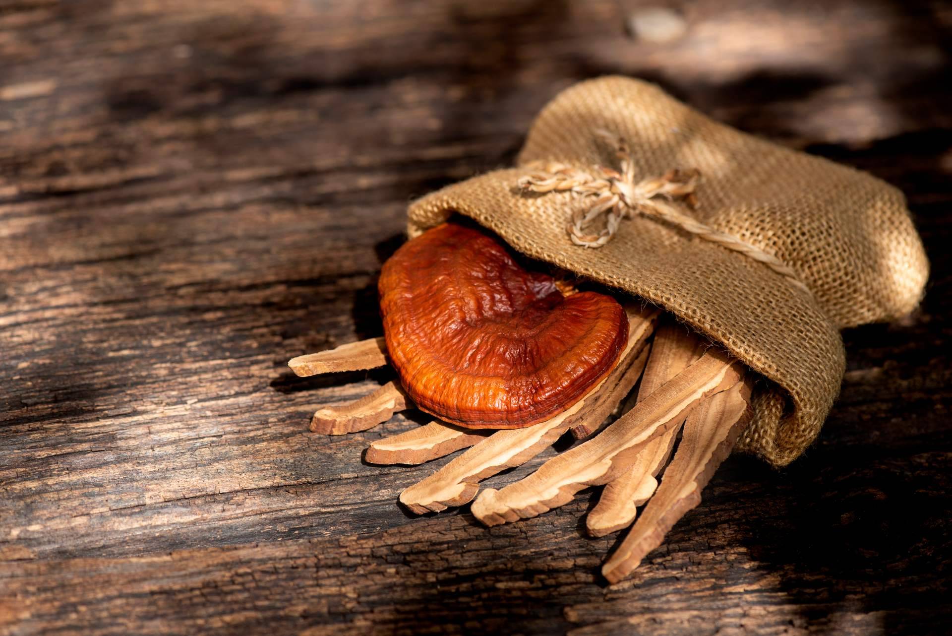 El hongo Reishi, un aliado alternativo para mejorar la salud y el bienestar