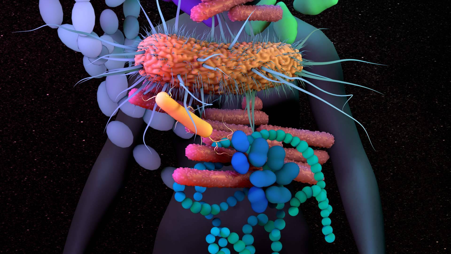 Dr. Fernando Ruger Viarengo, uno de los referentes en nutrigenética y microbiota en España