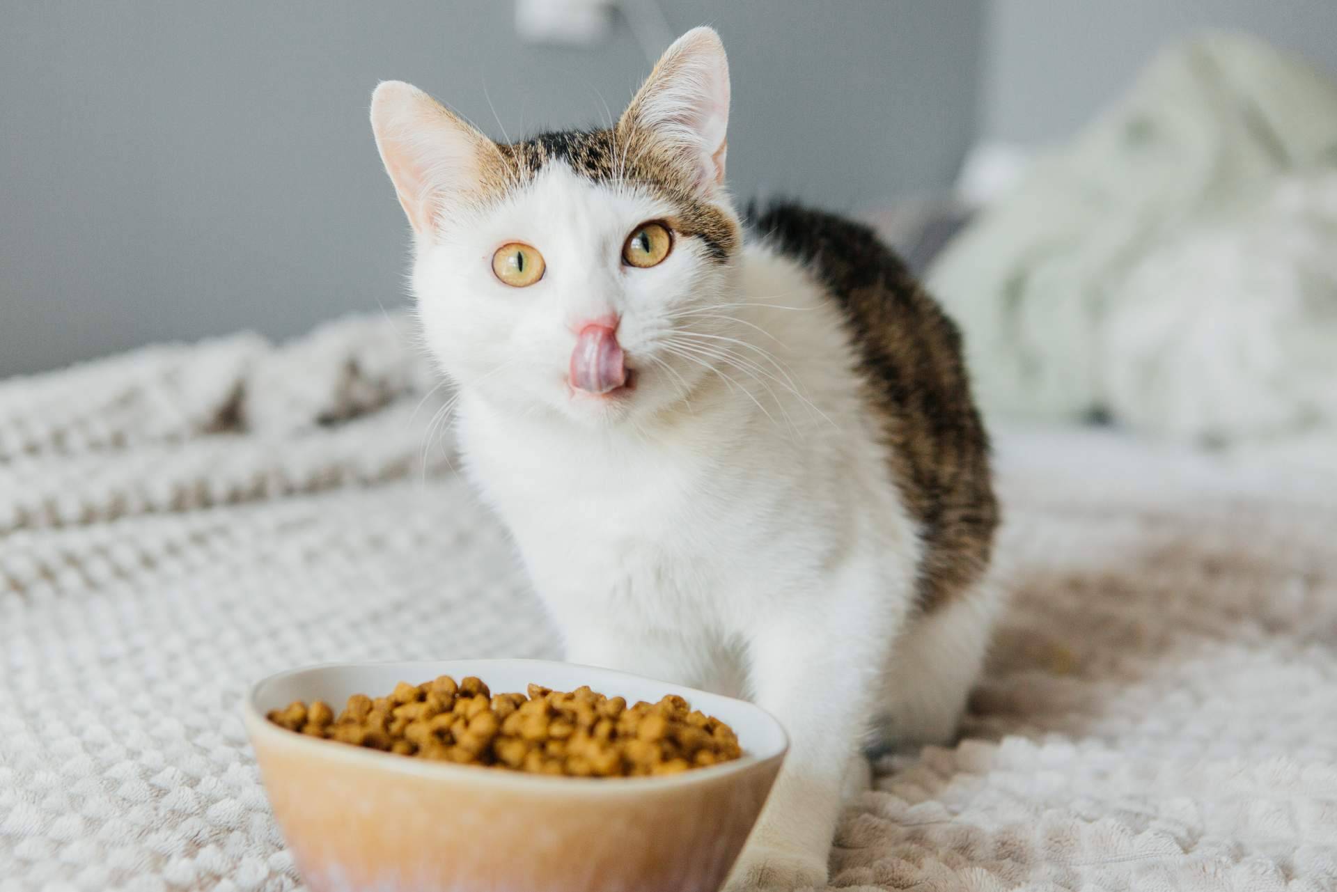 ¿Dónde encontrar alimentación y snacks de origen natural para mascotas?, por Pelu2paradise