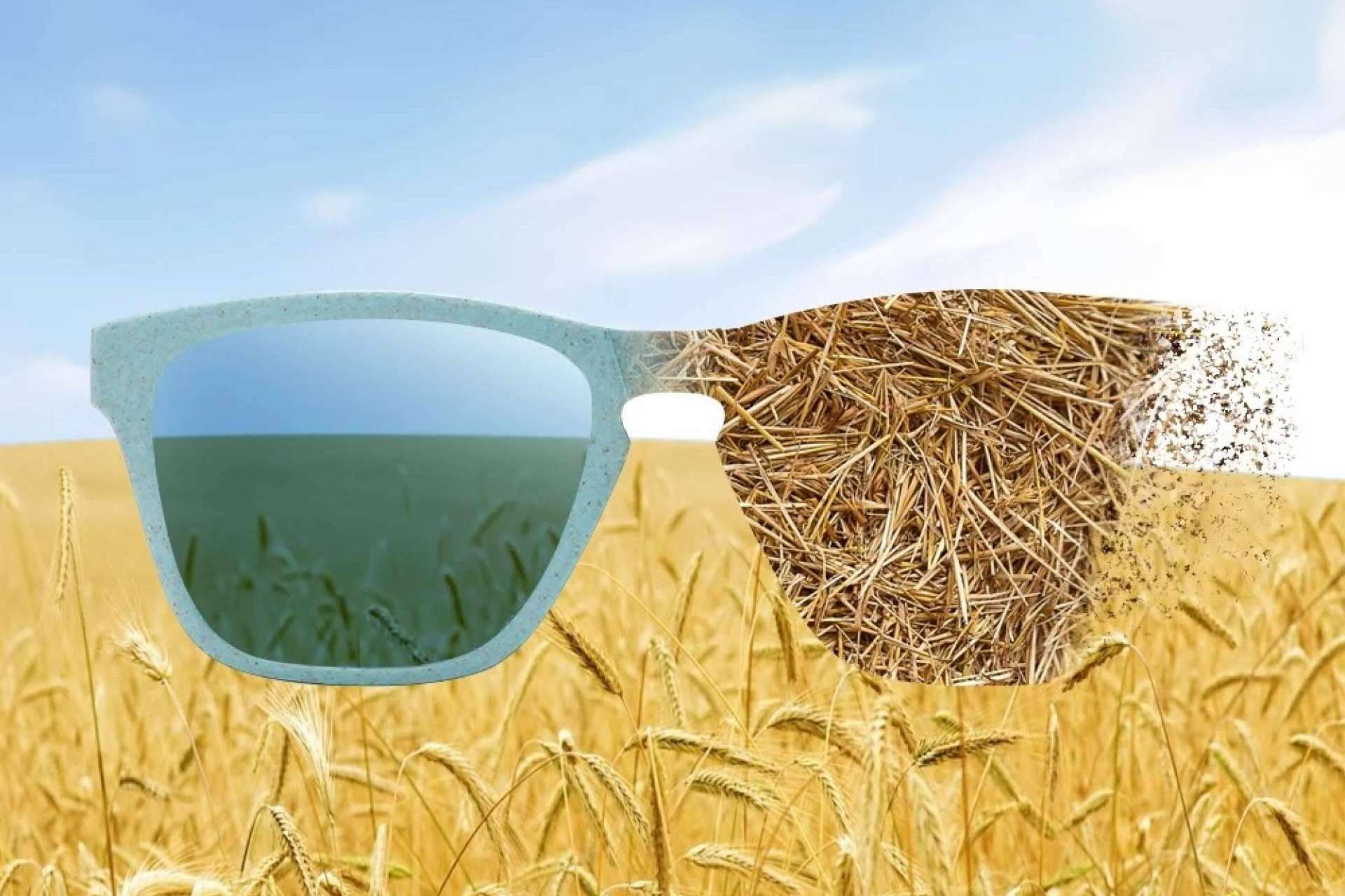 Lord Wooden lo ha vuelto a hacer, esta vez gracias al lanzamiento de su colección de gafas de sol biodegradables de trigo, café y madera