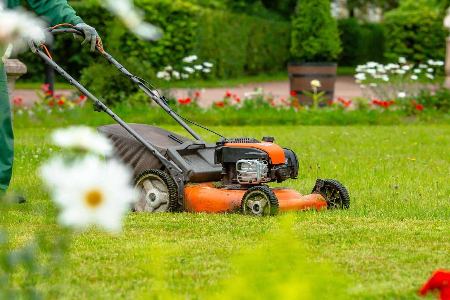 Mantenimiento integral de jardines y parques de empresas de la mano de Grupo Sileb
