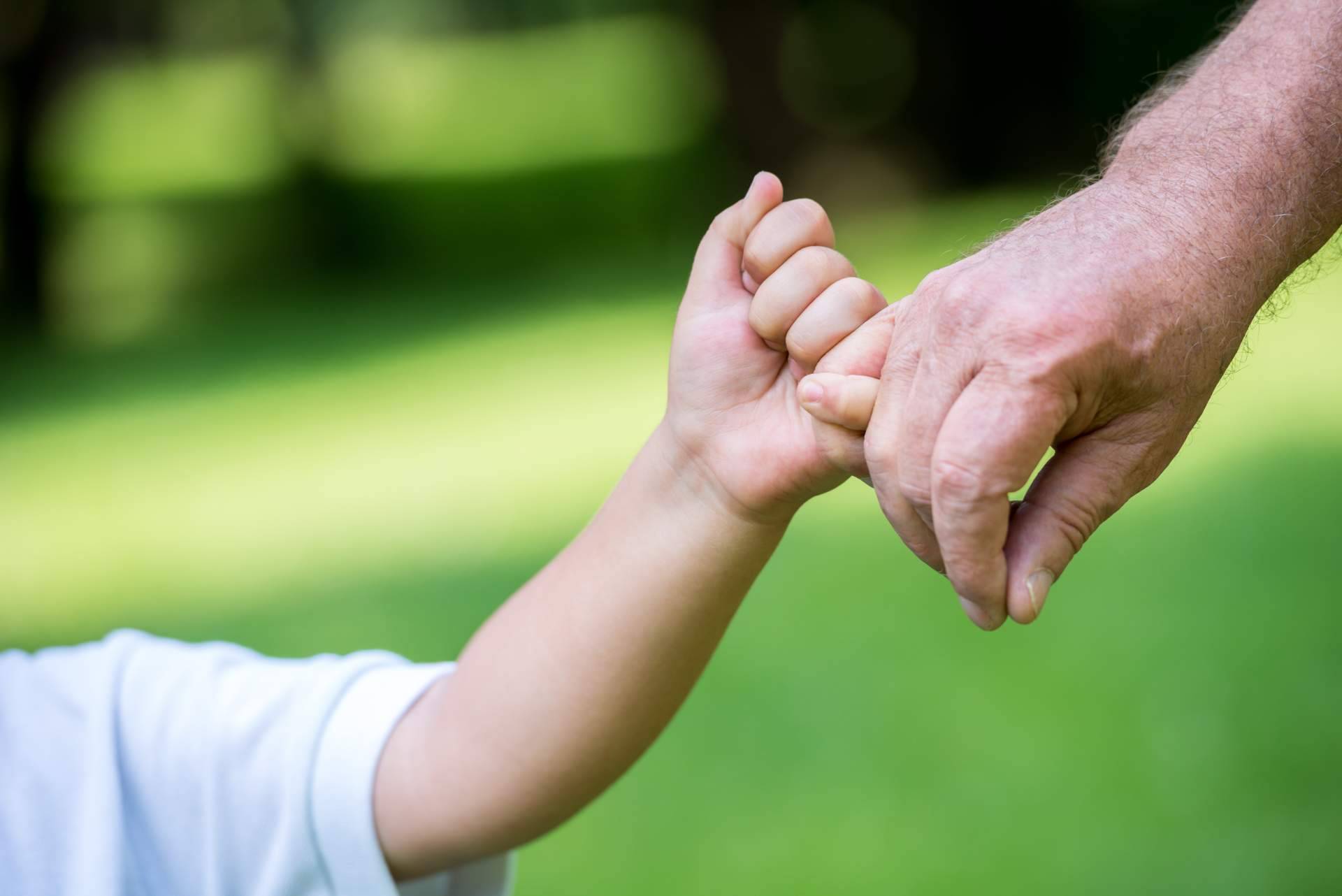 Soluciones adaptadas a cualquier perfil de la mano de El Seguro Barato