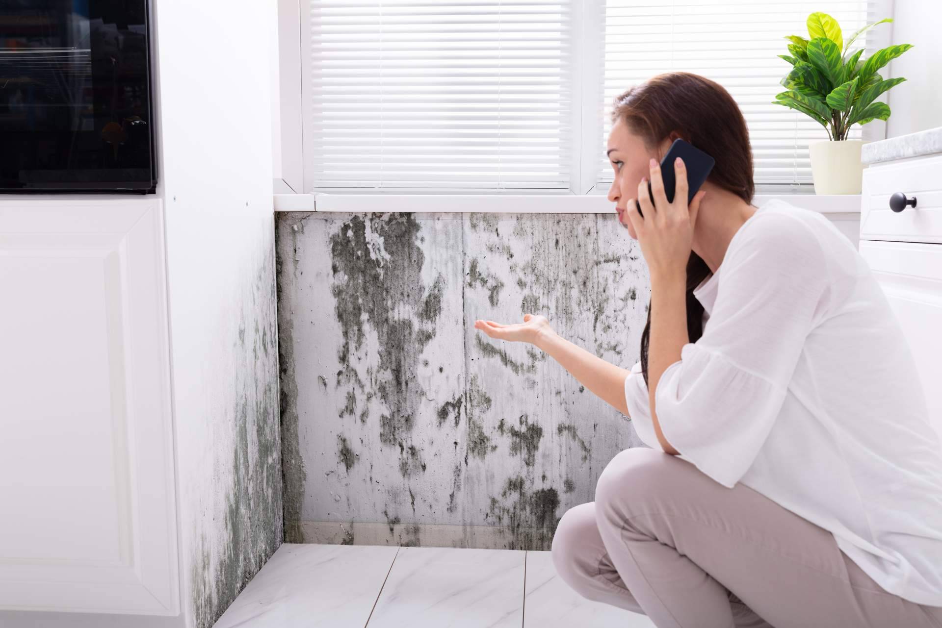 Para prevenir problemas de salud, es importante eliminar las humedades por capilaridad