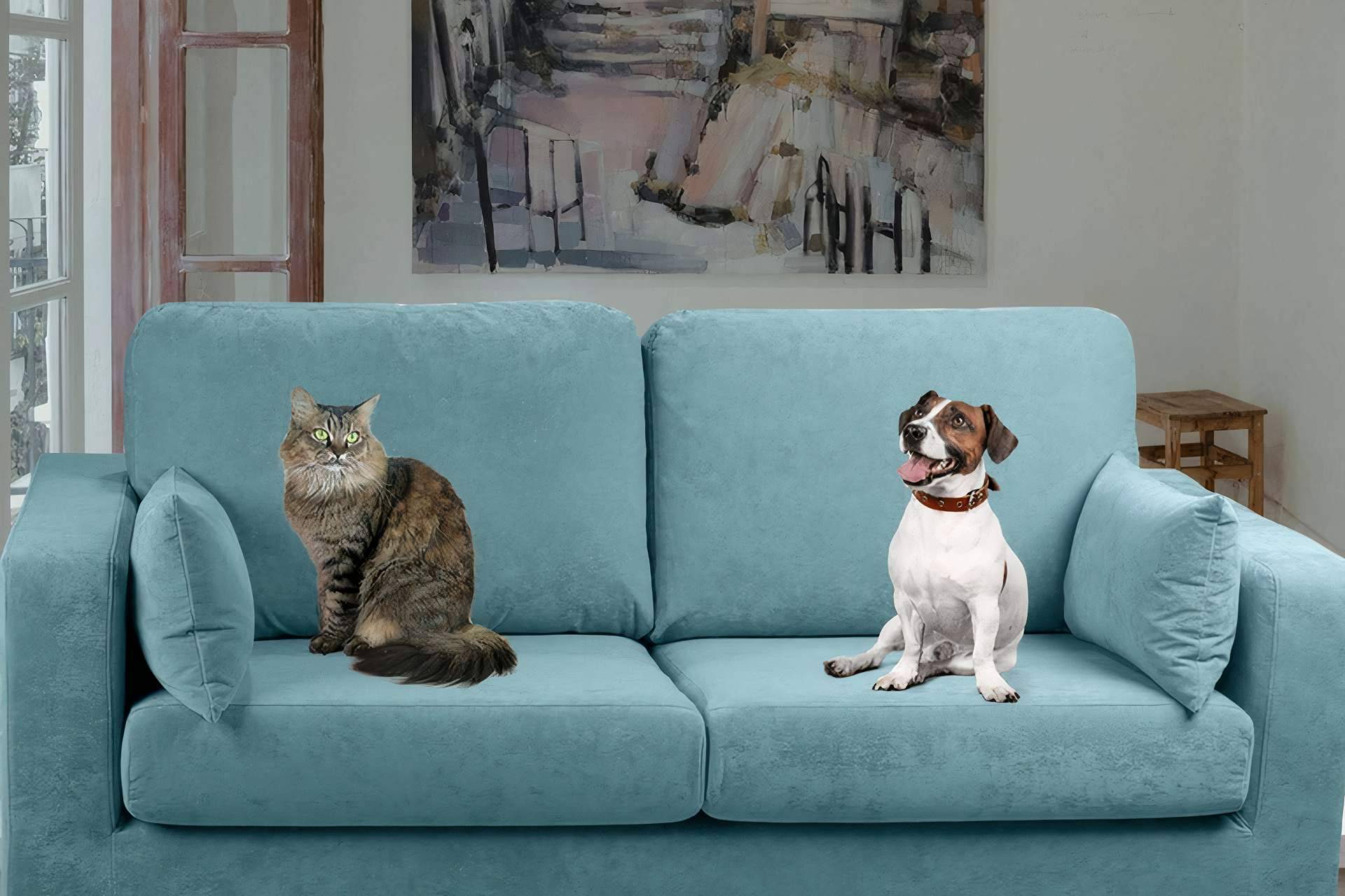 Las principales ventajas y desventajas de compartir el sofá con las mascotas