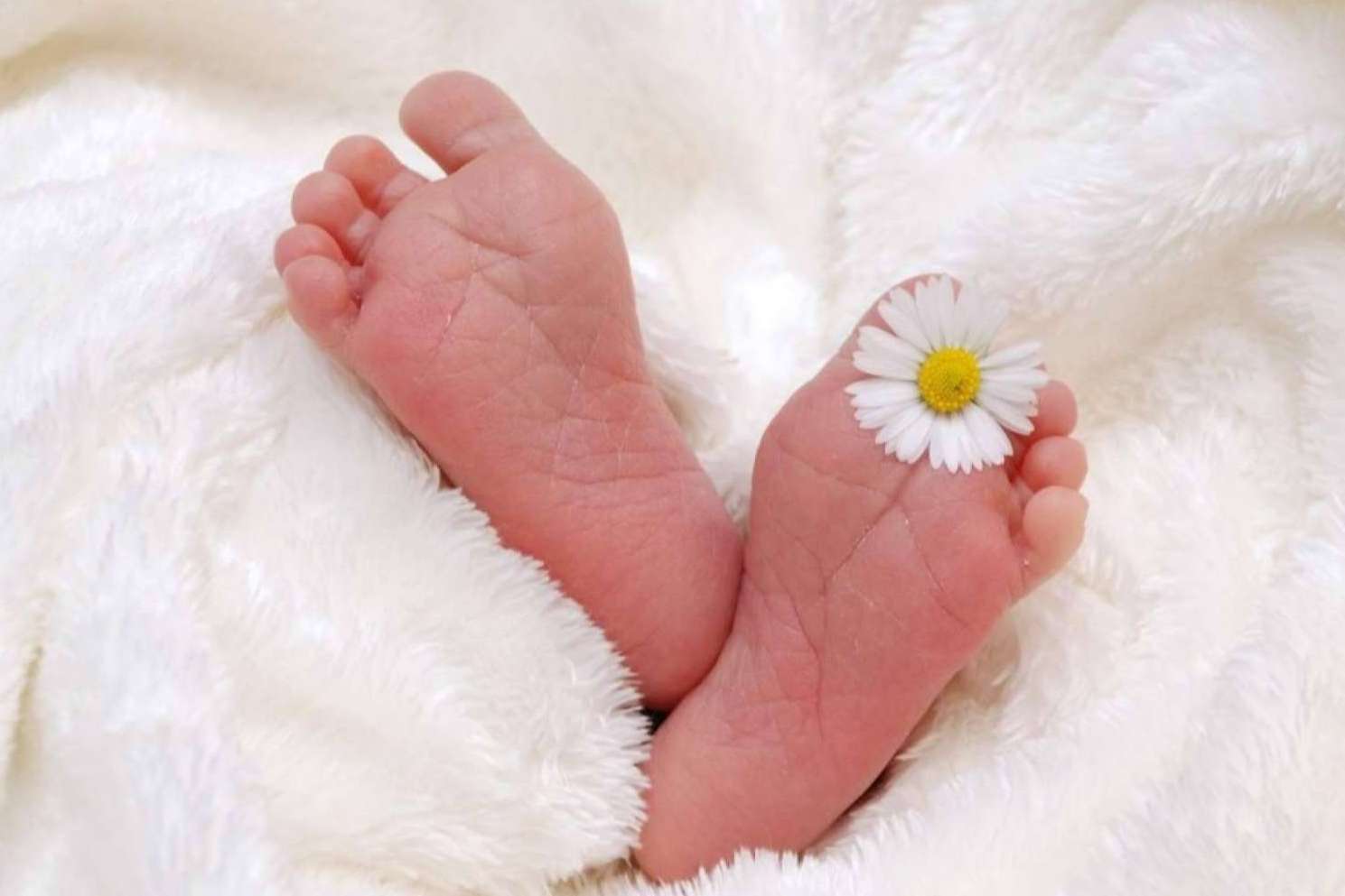 ¿En qué consiste la técnica de Inseminación Artificial (IA) Conyugal de la Clínica de Fertilidad Gaia?