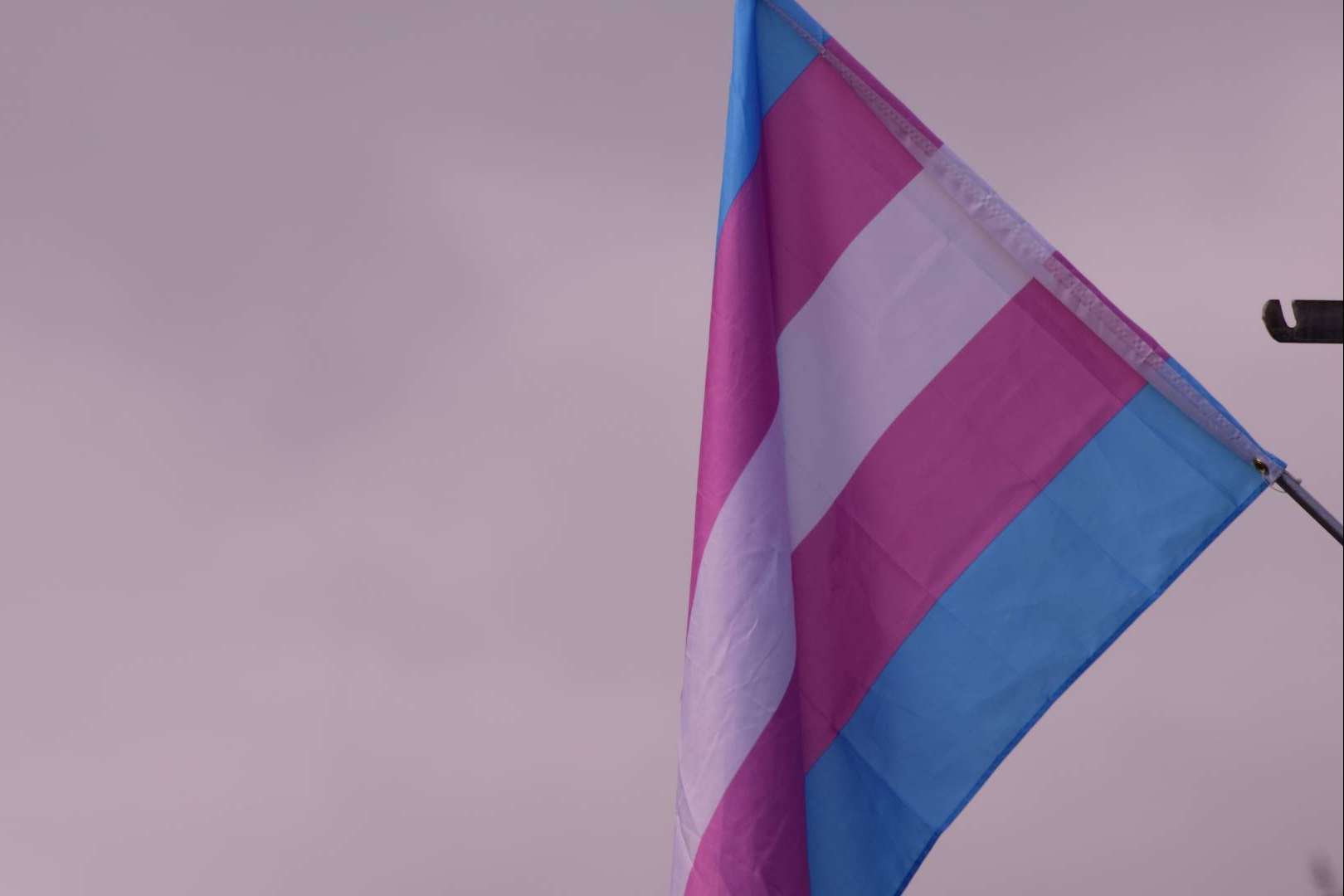 iMorosity apuesta por la diversidad y se suma a la Asociación Home of Trans como colaborador