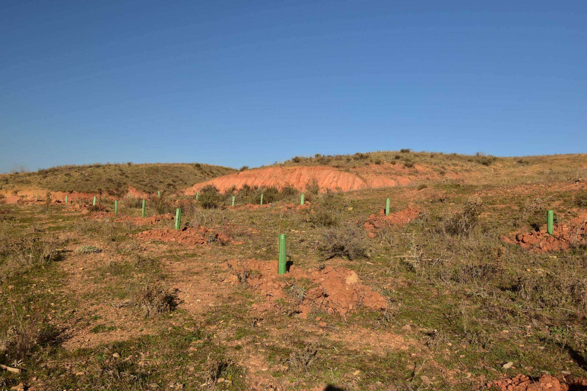 La innovadora campaña de Fundación Alcoraz y la compañía ICT para cuidar del medioambiente