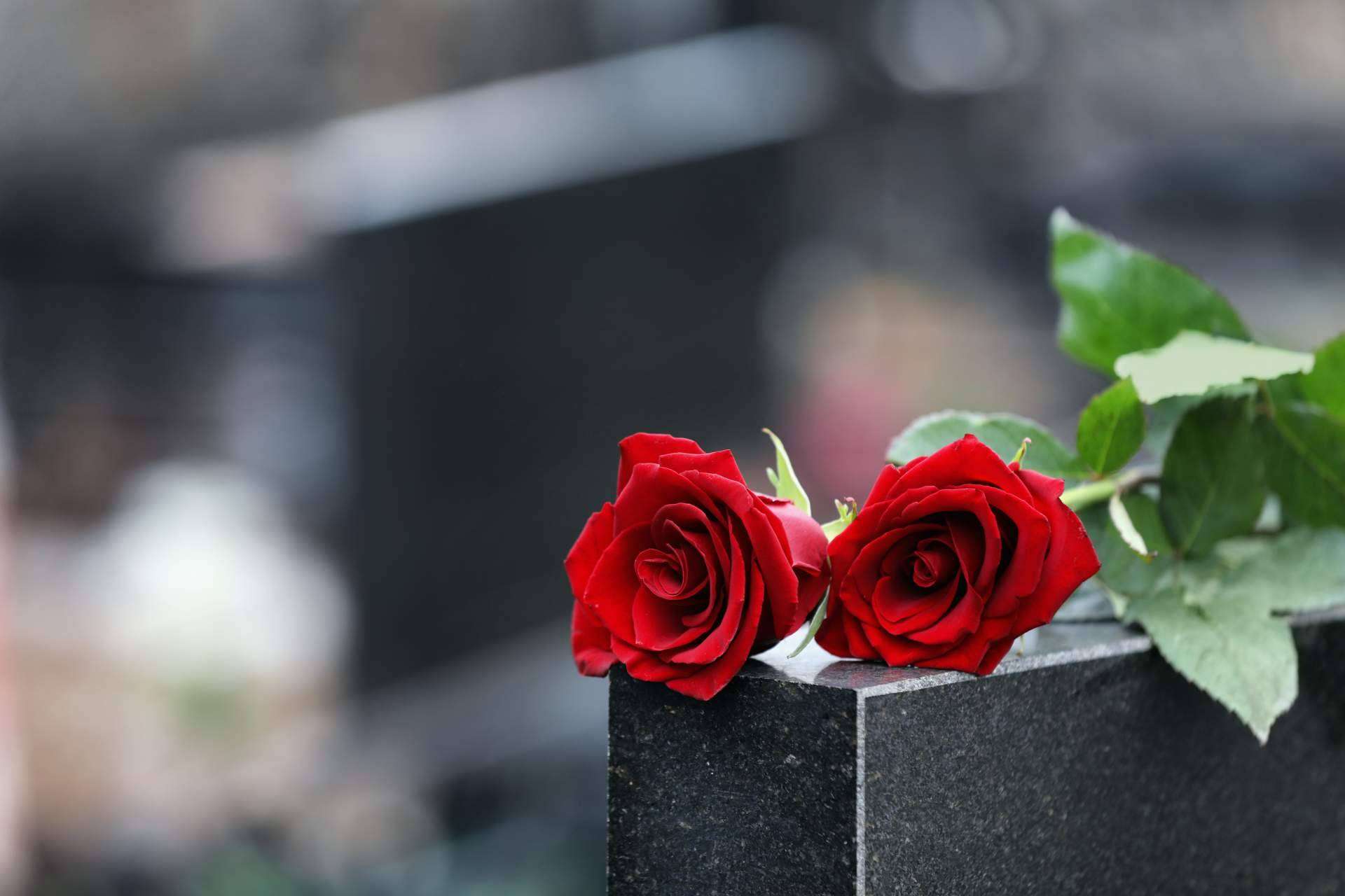 ¿Cuál es el buscador de tanatorios y funerarias en la ciudad de Pamplona?, por Tanatorio en Pamplona