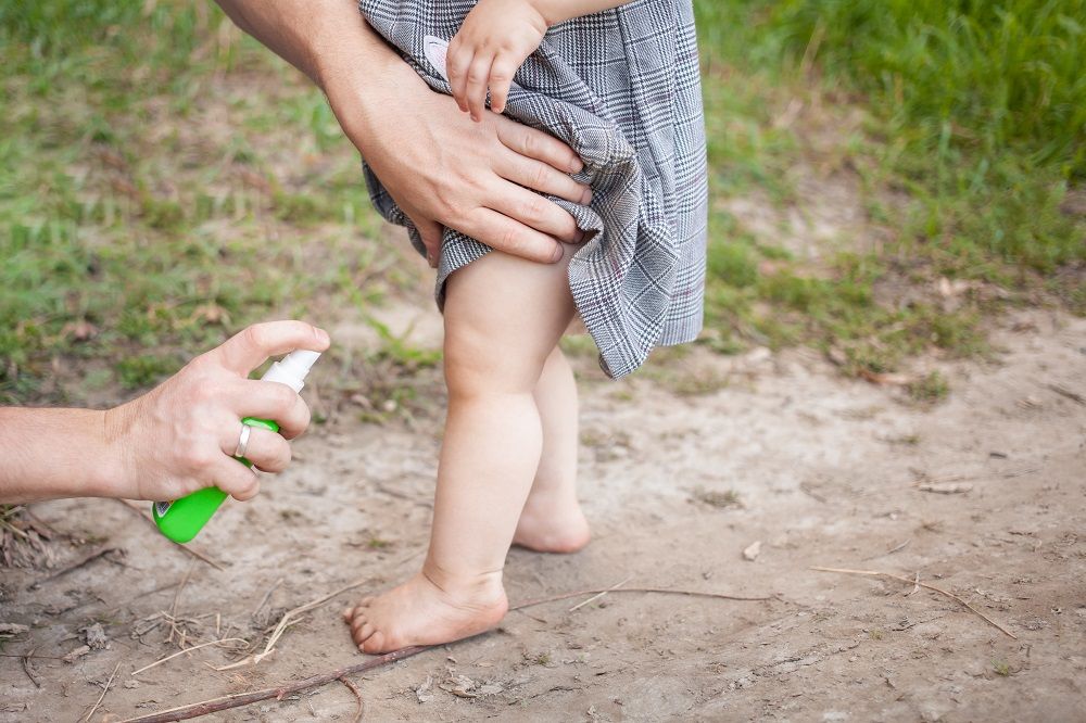 Rentokil Initial: Cómo diferenciar las picaduras de insectos durante este verano
