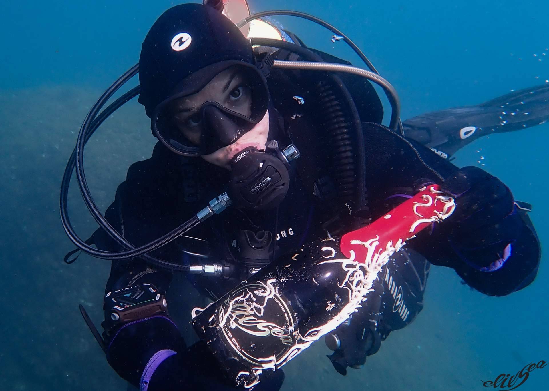 ElixSea y su innovador proyecto sobre el encanto único del vino submarino