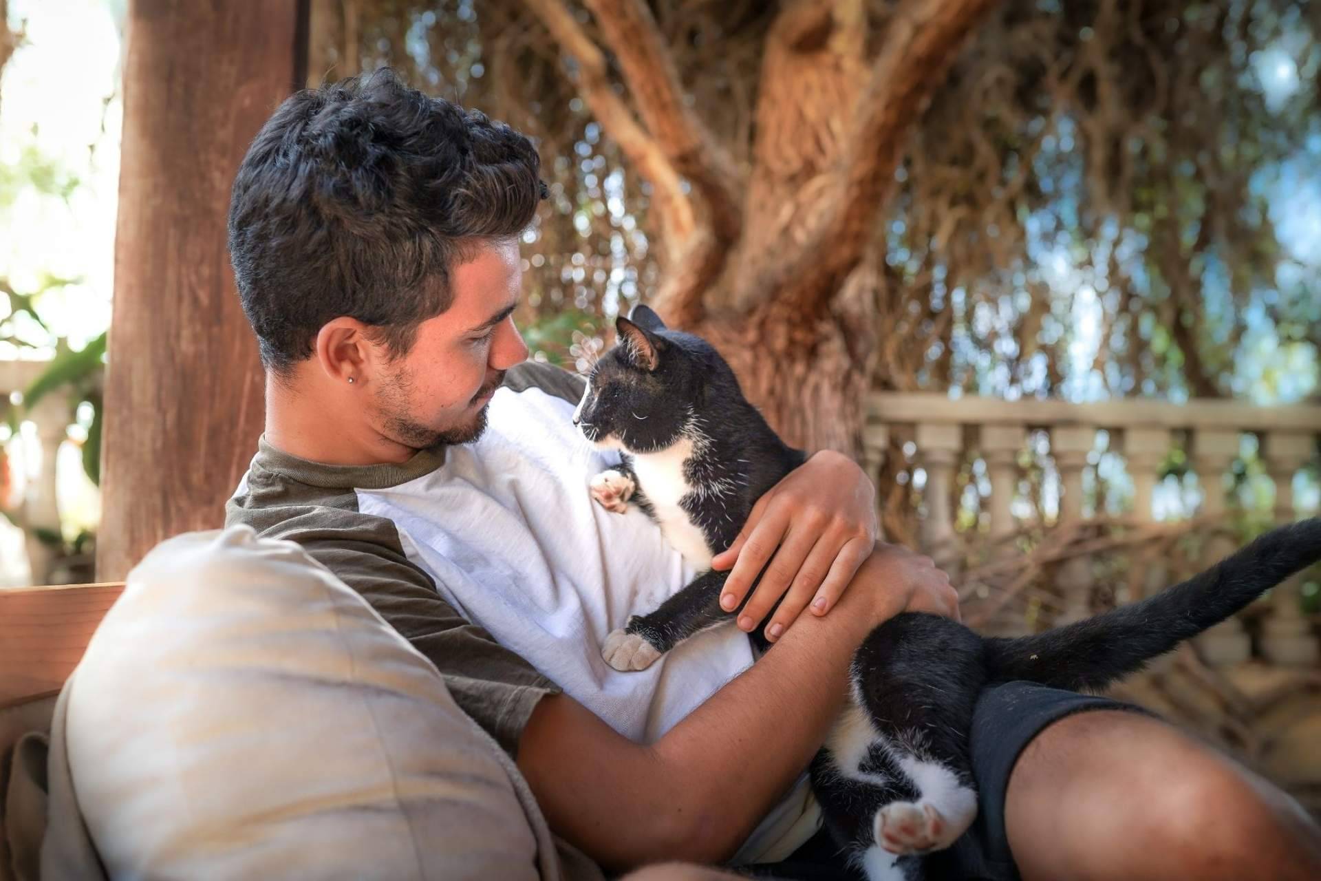 Formación para reforzar vínculos con los animales de compañía, en Antrozoología.com