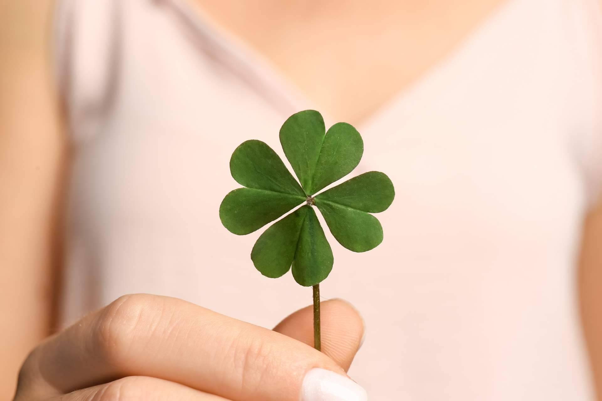 ¿Cuáles son las supersticiones más frecuentes entre los jugadores de lotería?