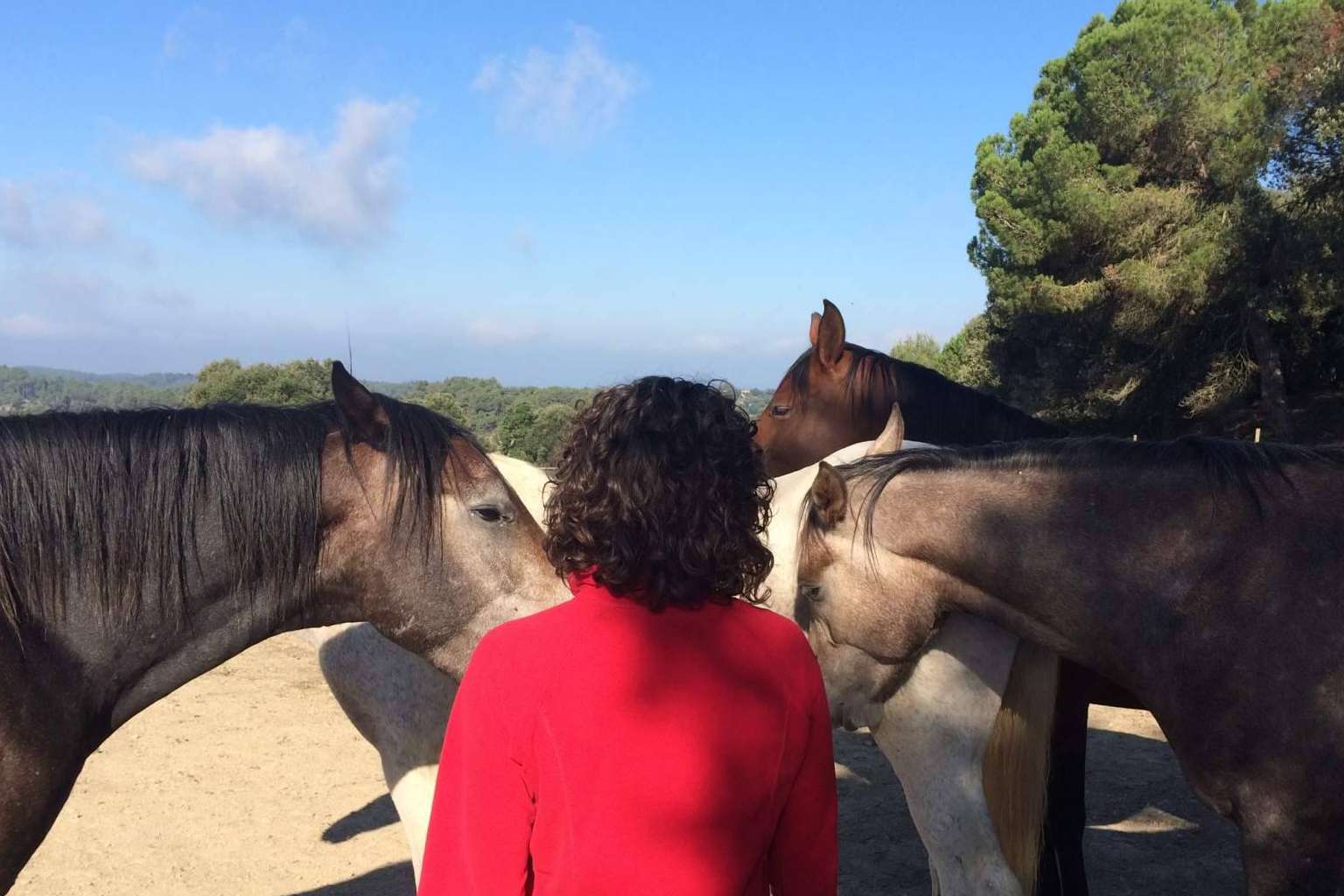 Aura, PNL asistida con caballos en libertad